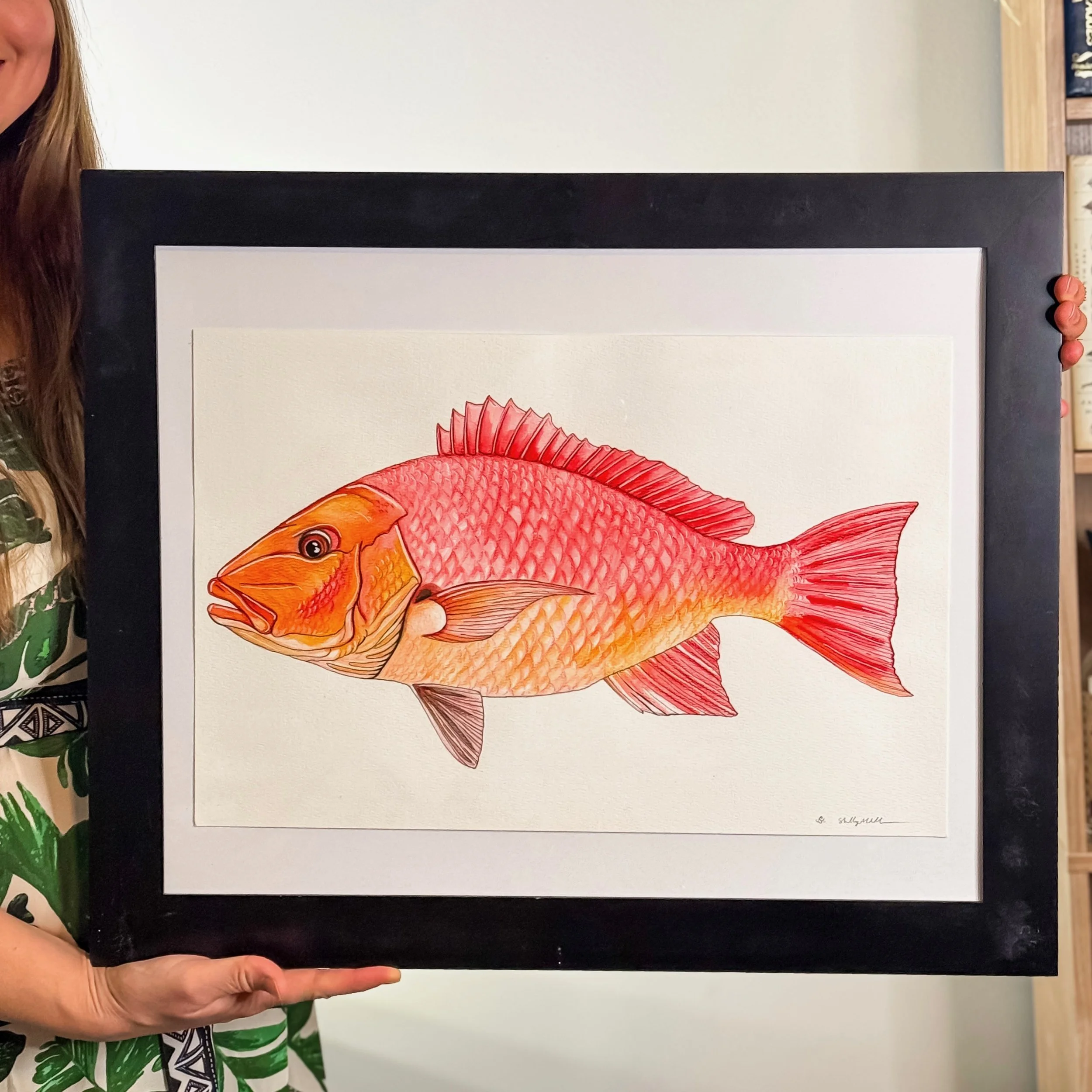 Red Snapper Original Framed 2.JPEG