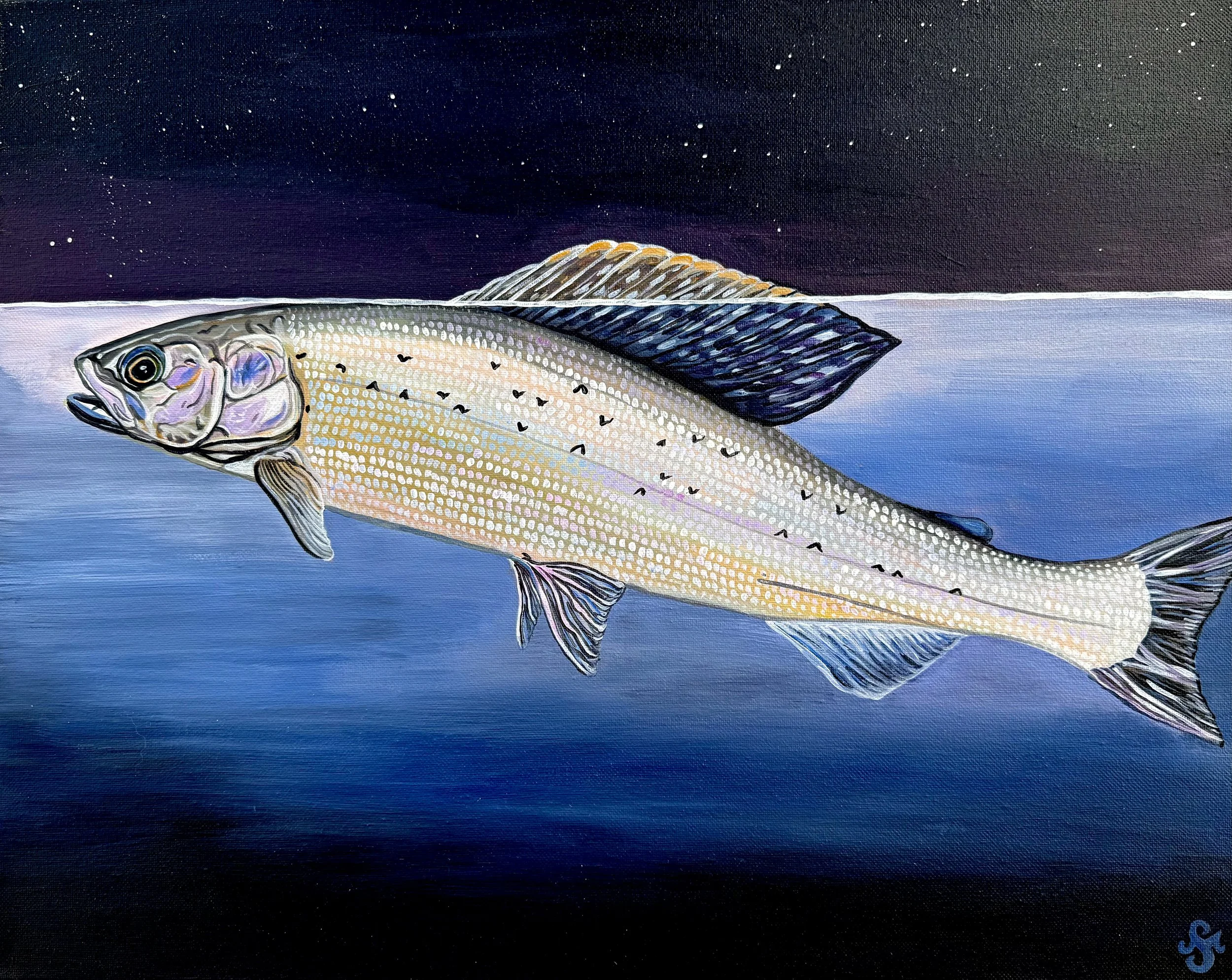 Arctic Grayling Print.jpg