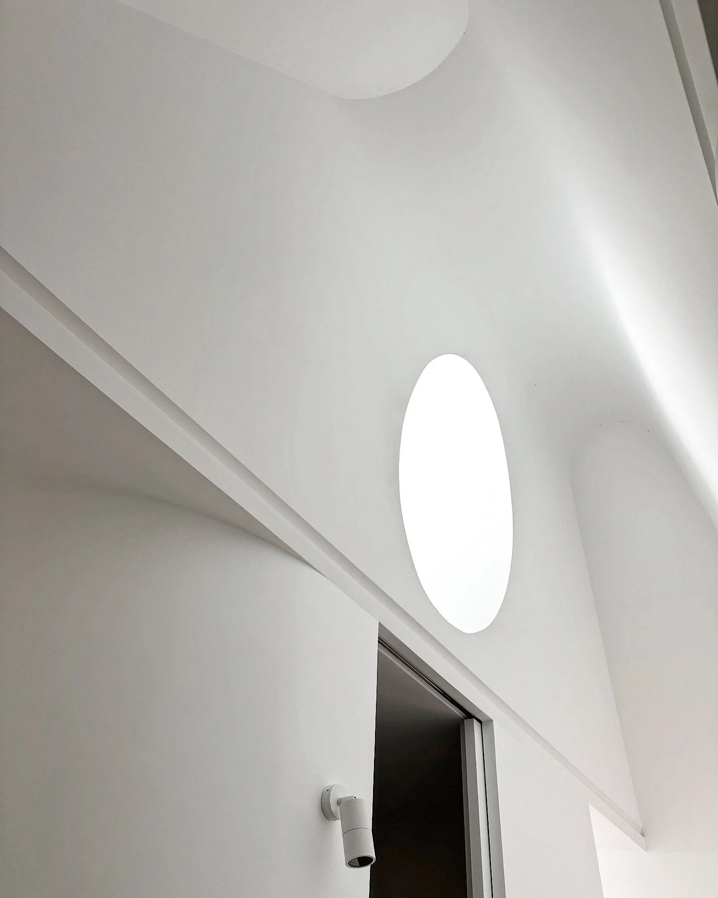 A visit to McMahons Point House this morning, two and a half years after completion &ndash; the garden is growing beautifully!

Original garden design by @pepo.botanic.design