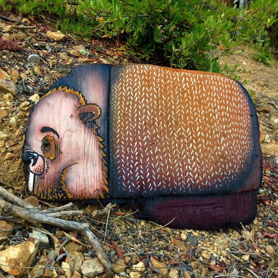 Beaver on Found Lake Wood
