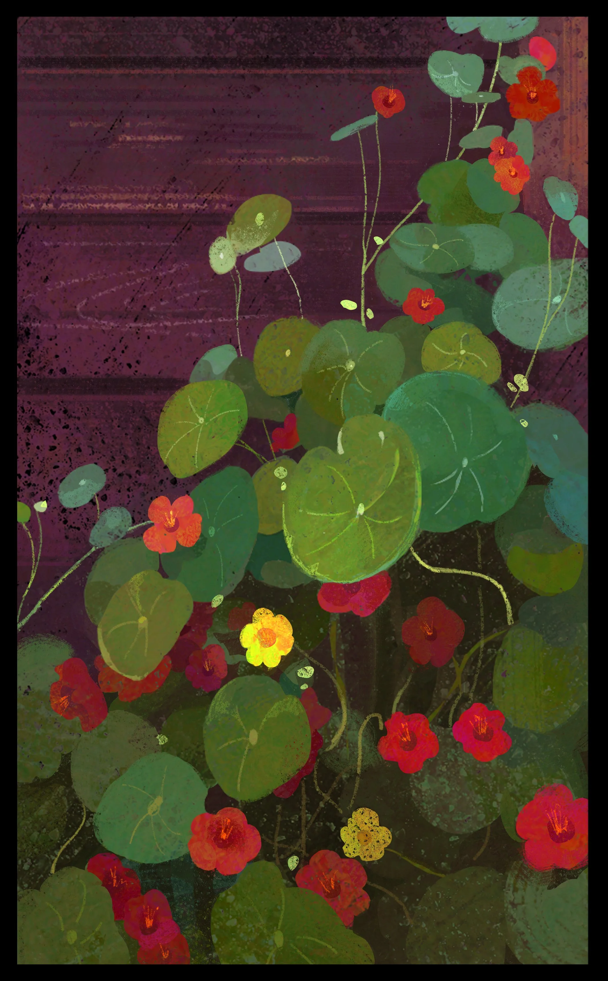 red flower plant 26_8_30.jpg