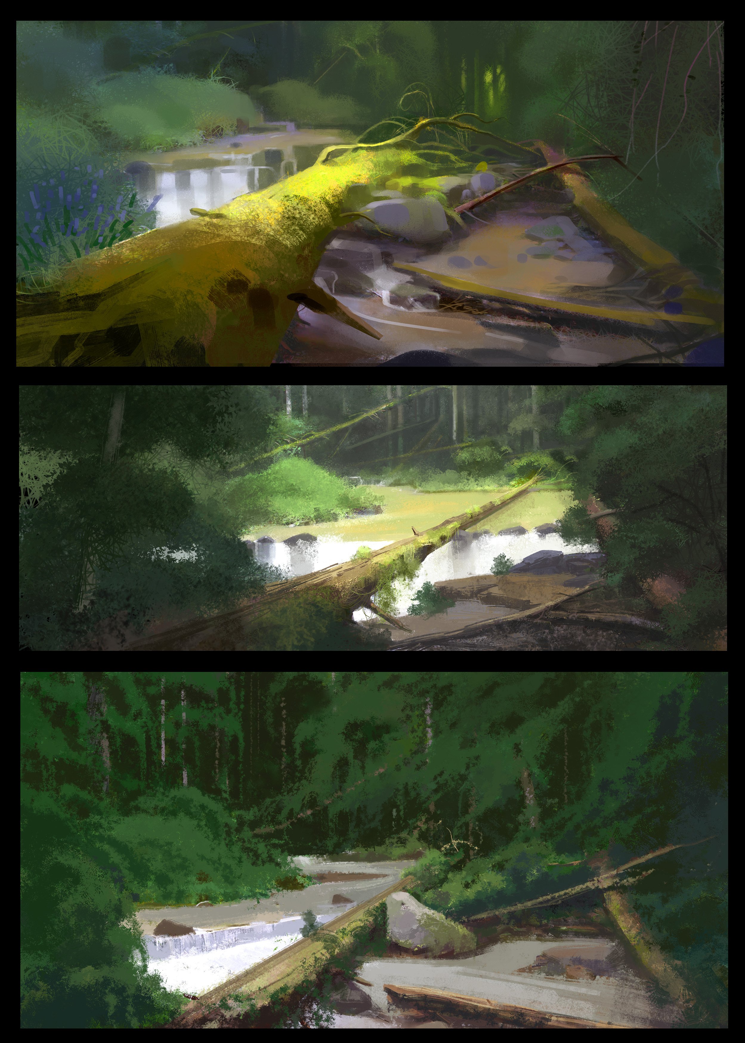 forest all 26_1_12.jpg