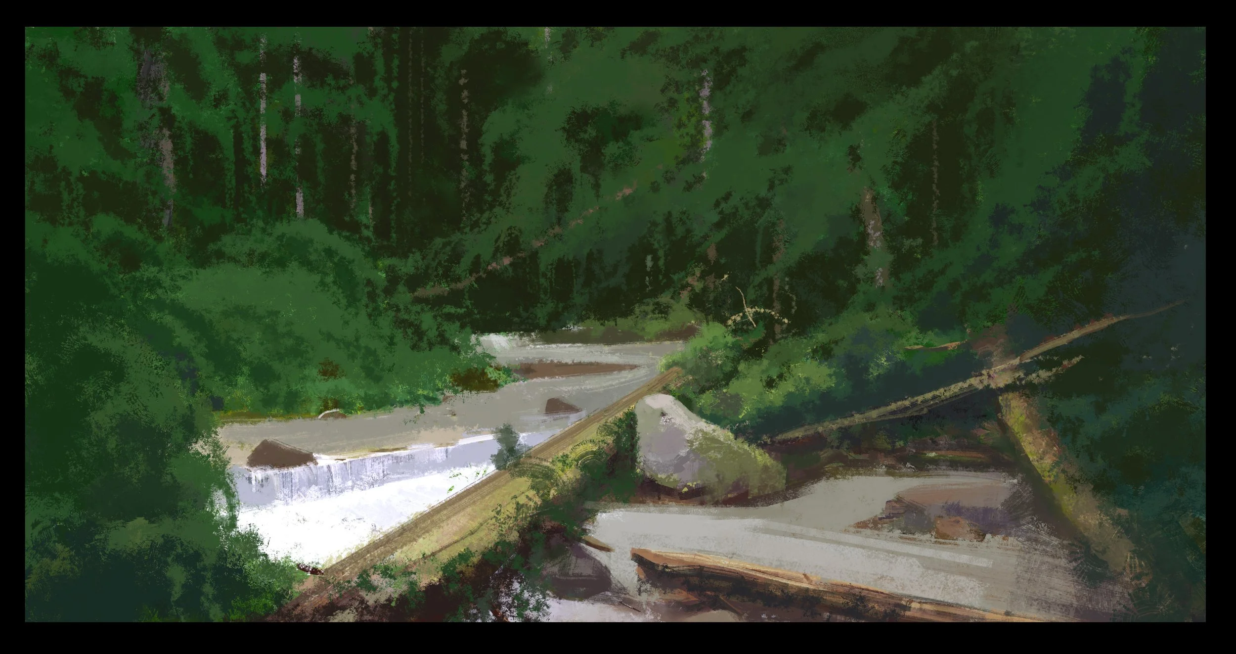 forest 3_1 26_1_12.jpg