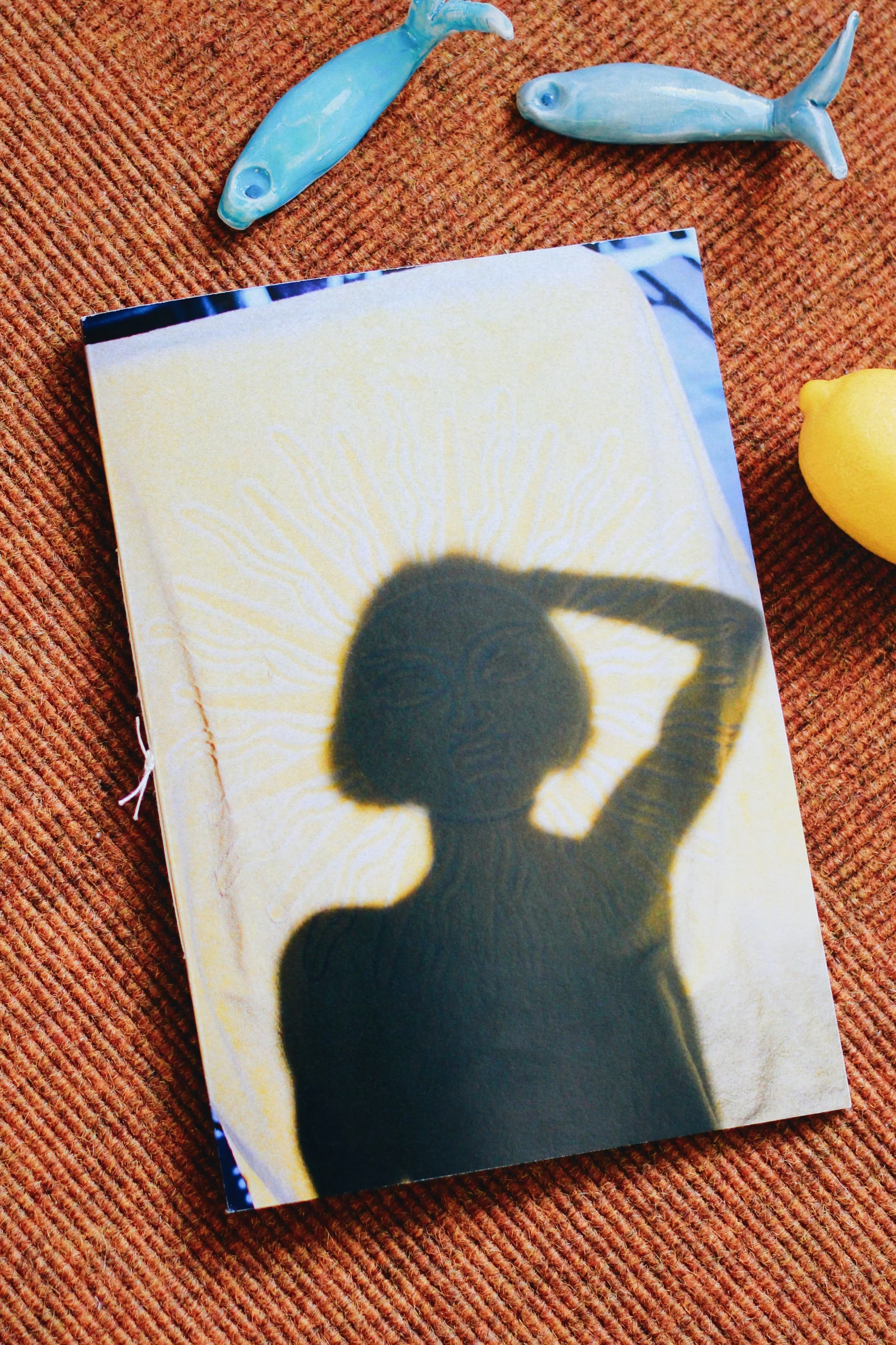 Postcards from a daydream - book