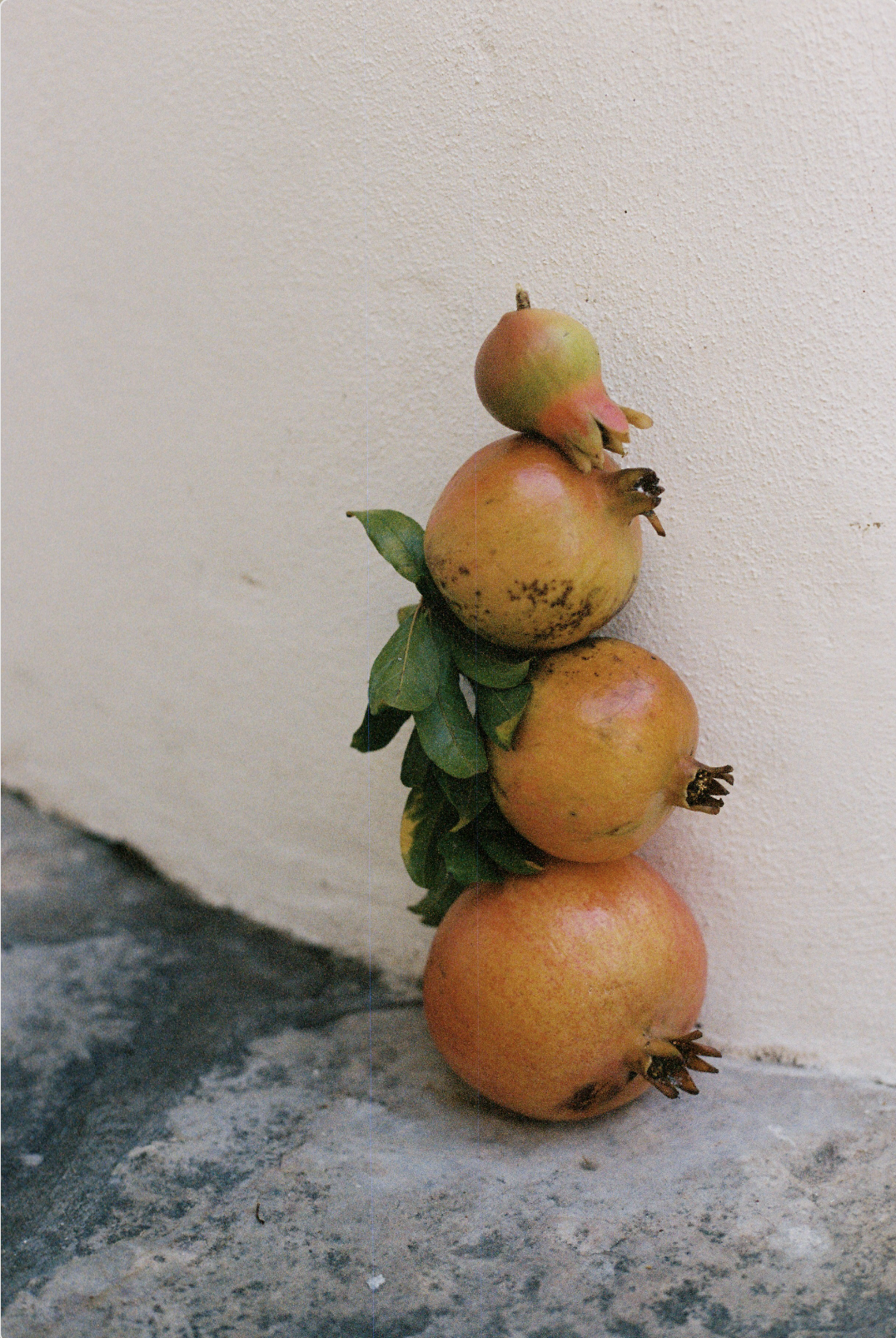 Screenshot 2026-03-21 at 4.32.19 PM.png