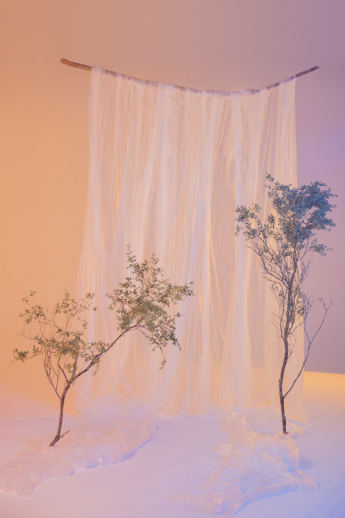Synthetic Sunset- Hannah Elyse- Cybele Malinowski-1.jpg