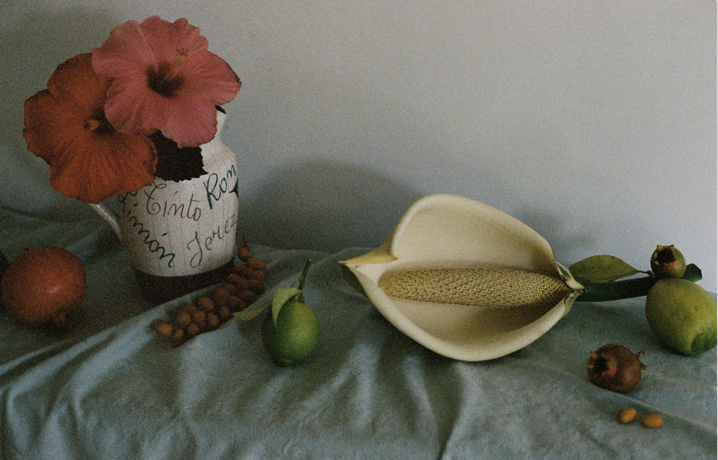 Screenshot 2026-03-21 at 4.39.58 PM.png