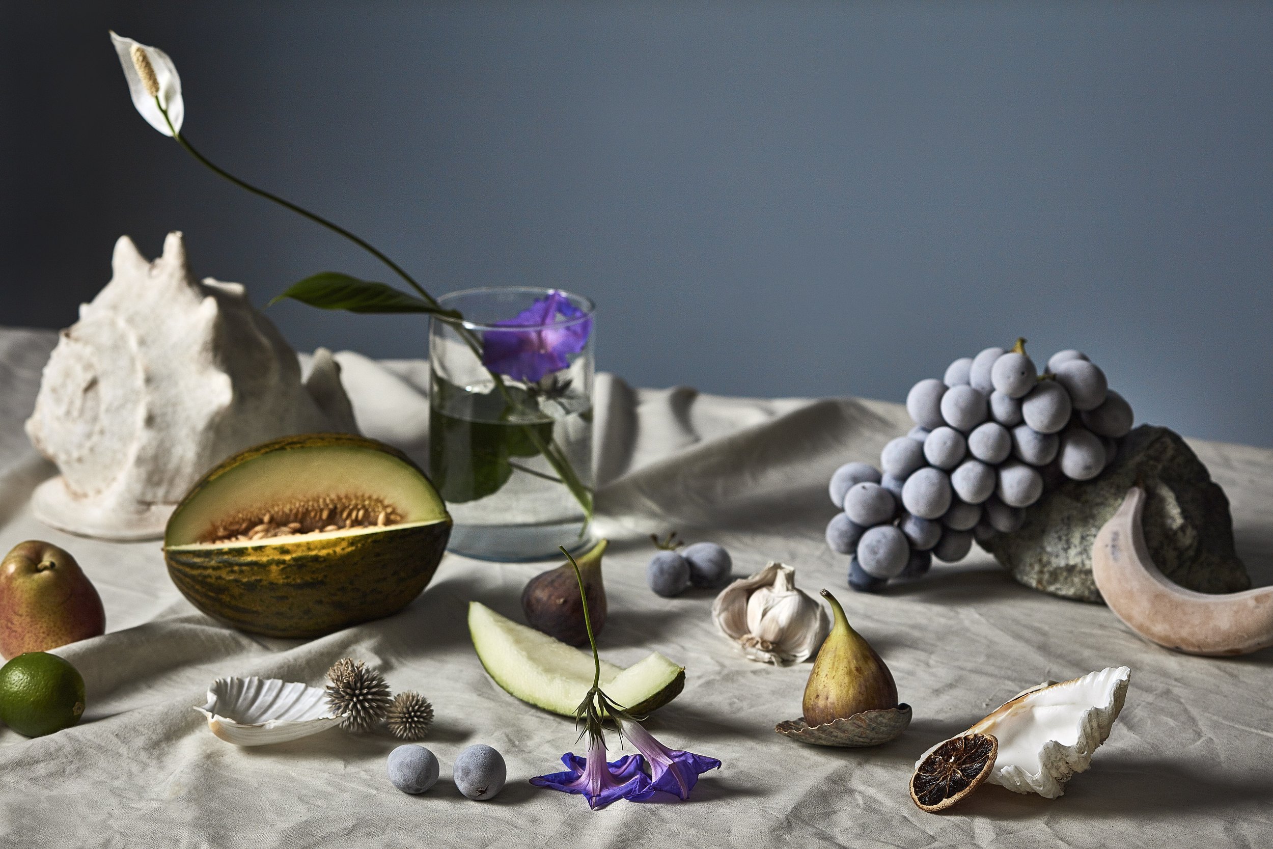 20181020_DutchStilLife_Promo.jpg