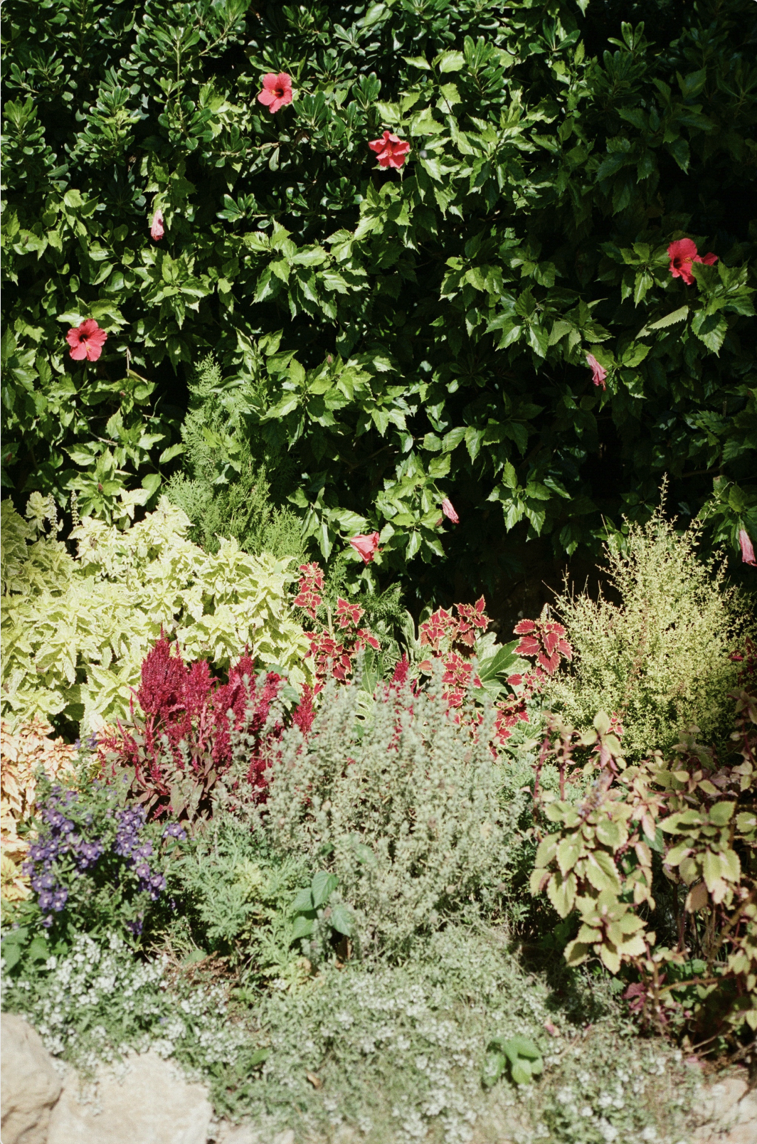 Screenshot 2026-03-21 at 4.15.00 PM.png