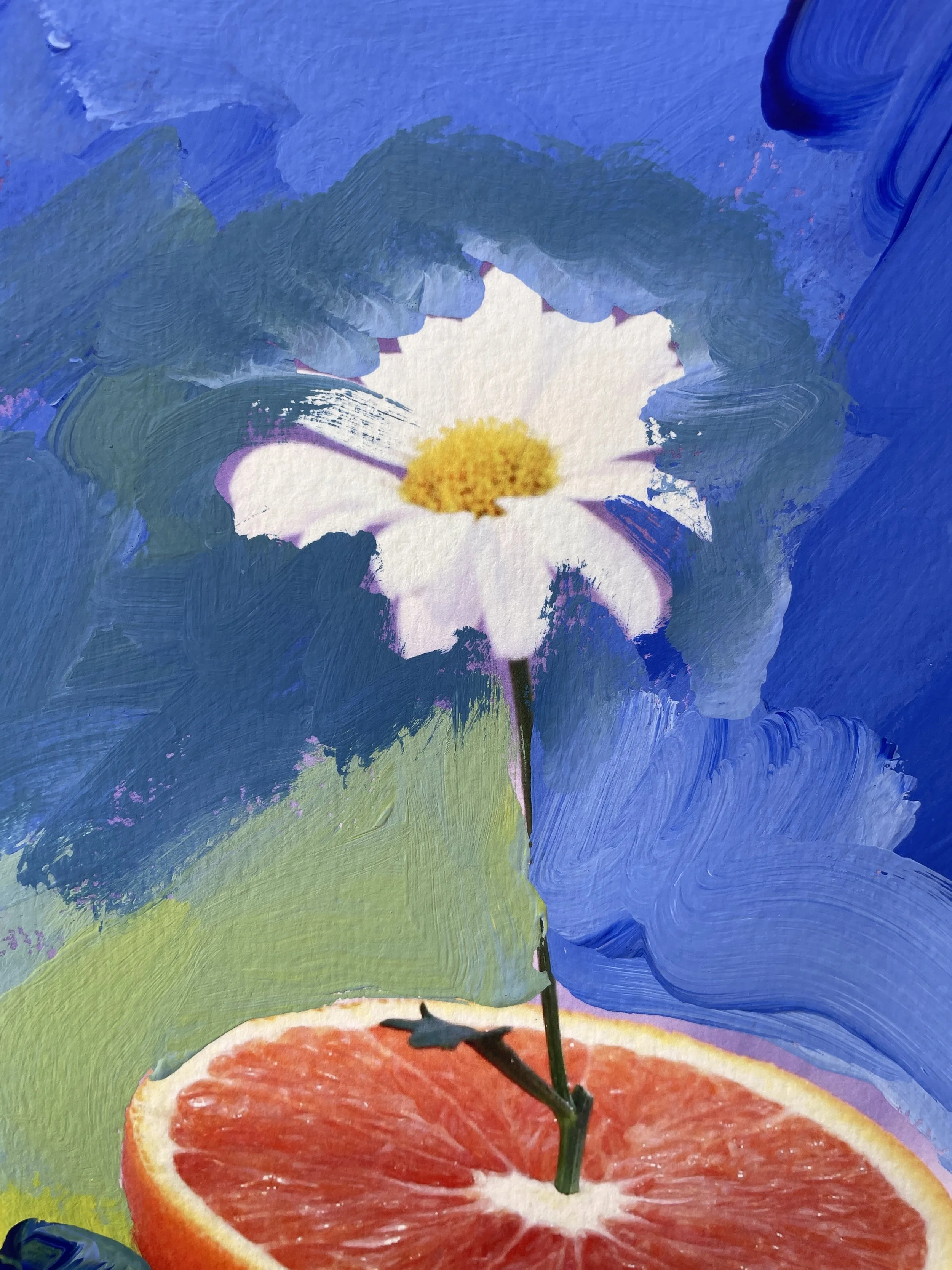 Little+daisy+detail+2.jpg