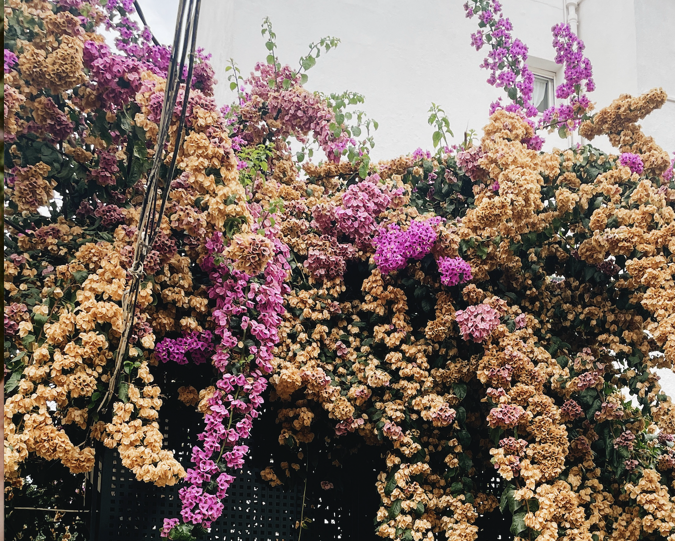 Screenshot 2026-03-21 at 3.42.11 PM.png