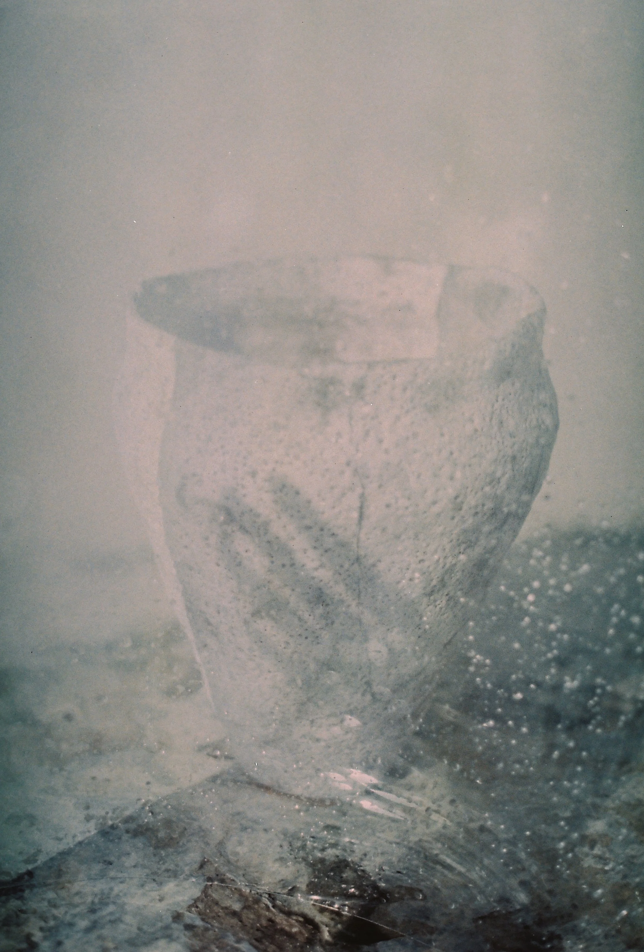 D004688-R1-21-22.JPG
