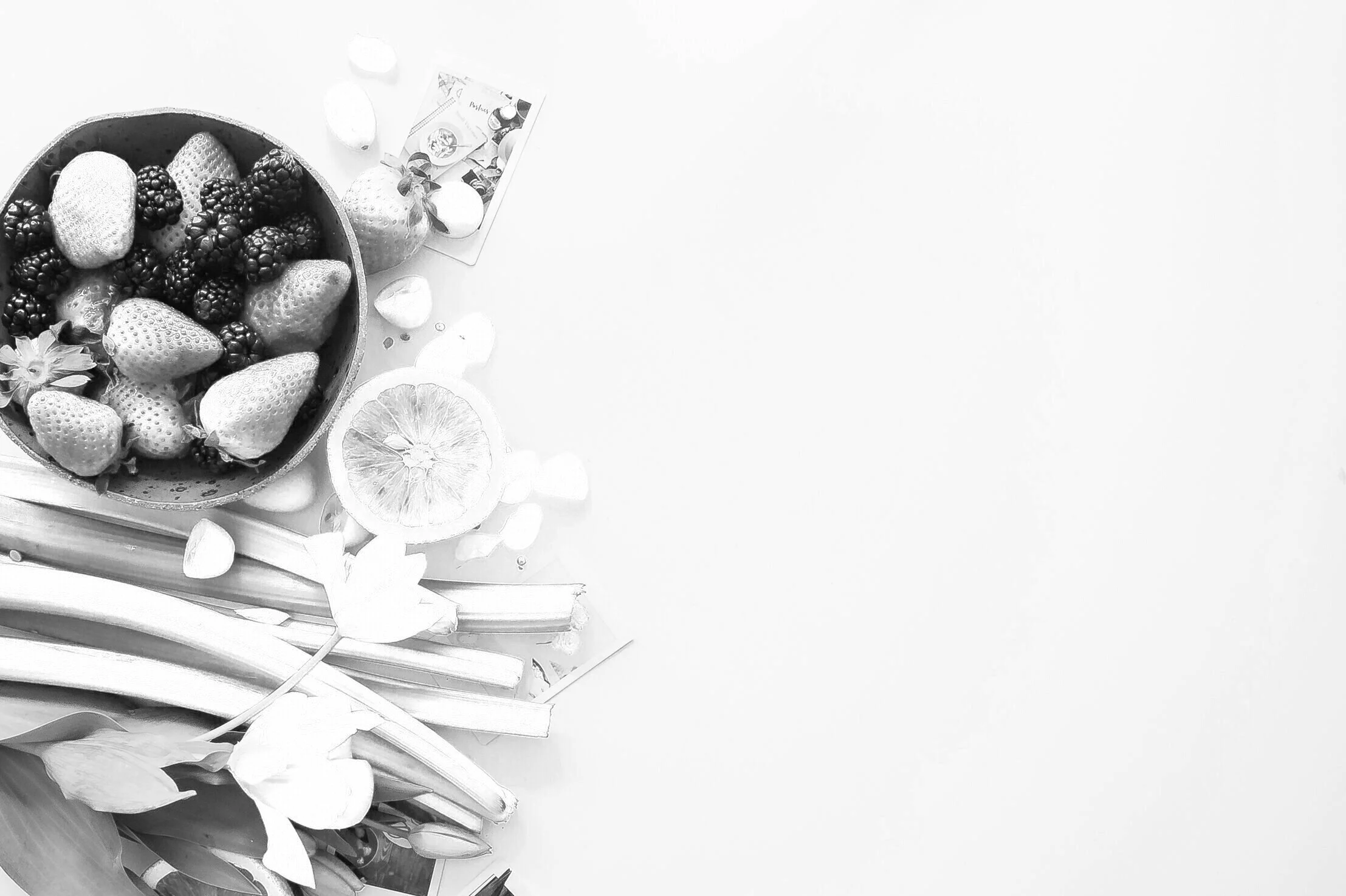 Pregnancy Care — Tennessee Valley OBGYN