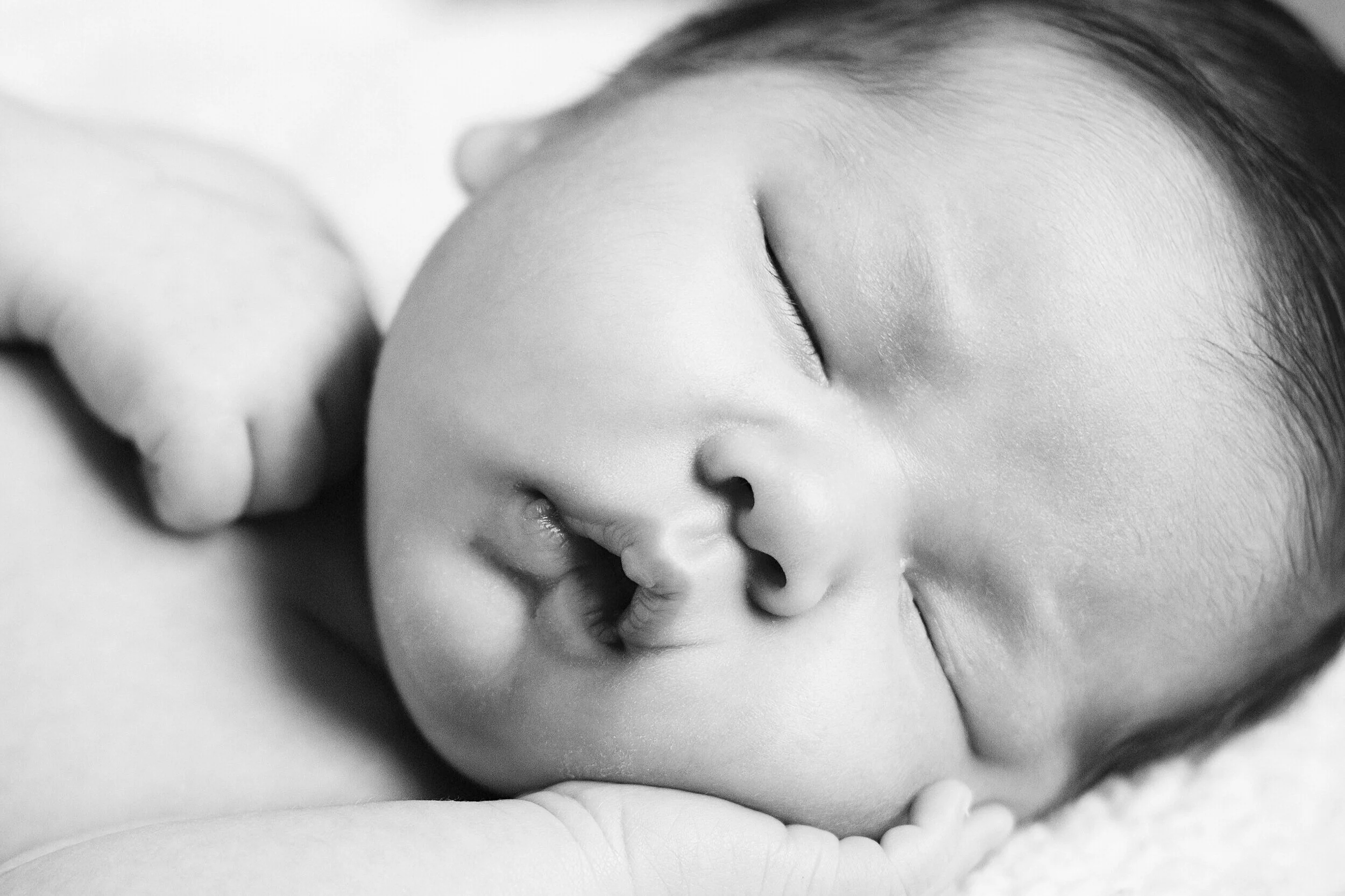 Pregnancy Care — Tennessee Valley OBGYN