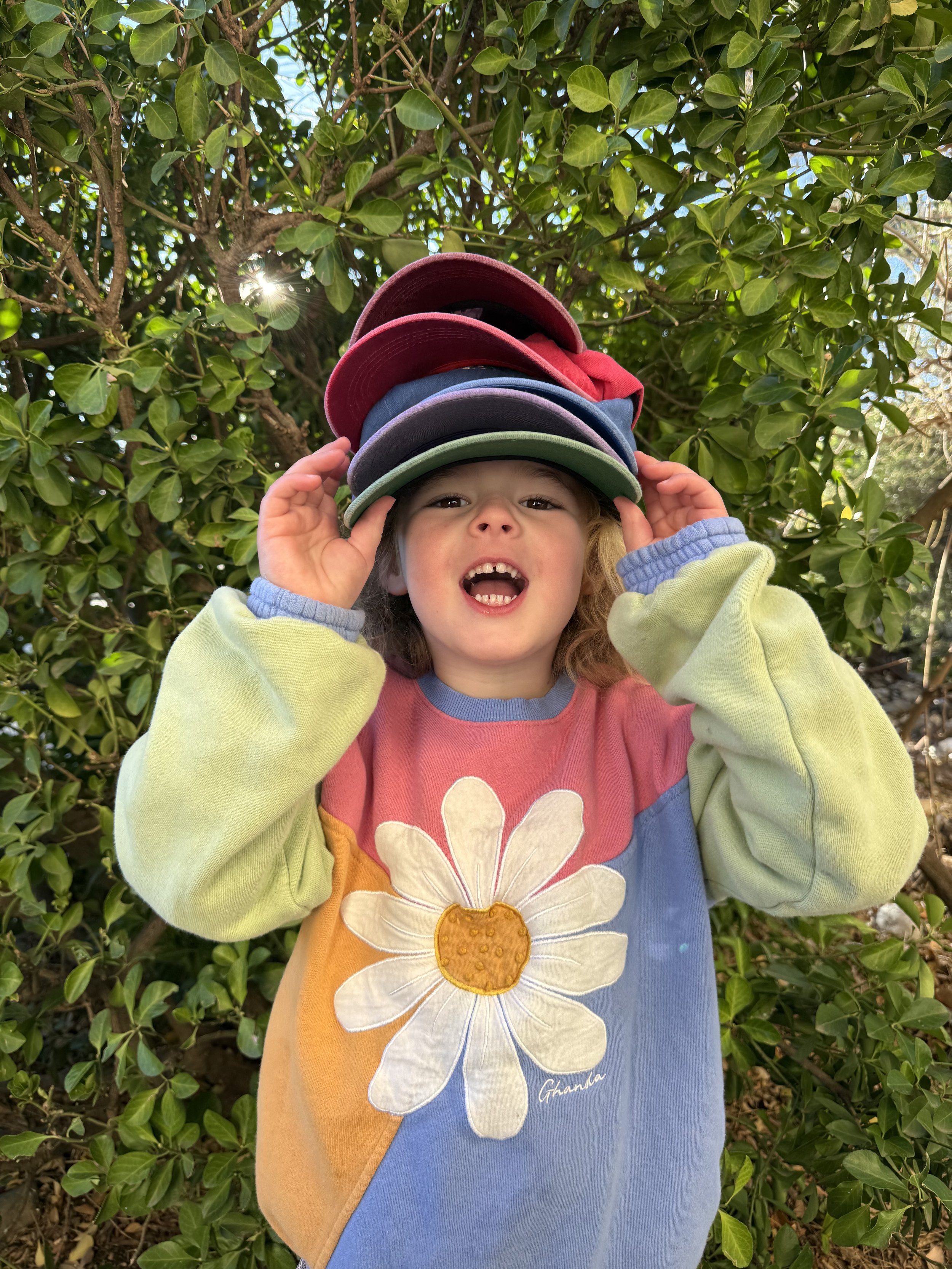 LOLA HATS.jpg
