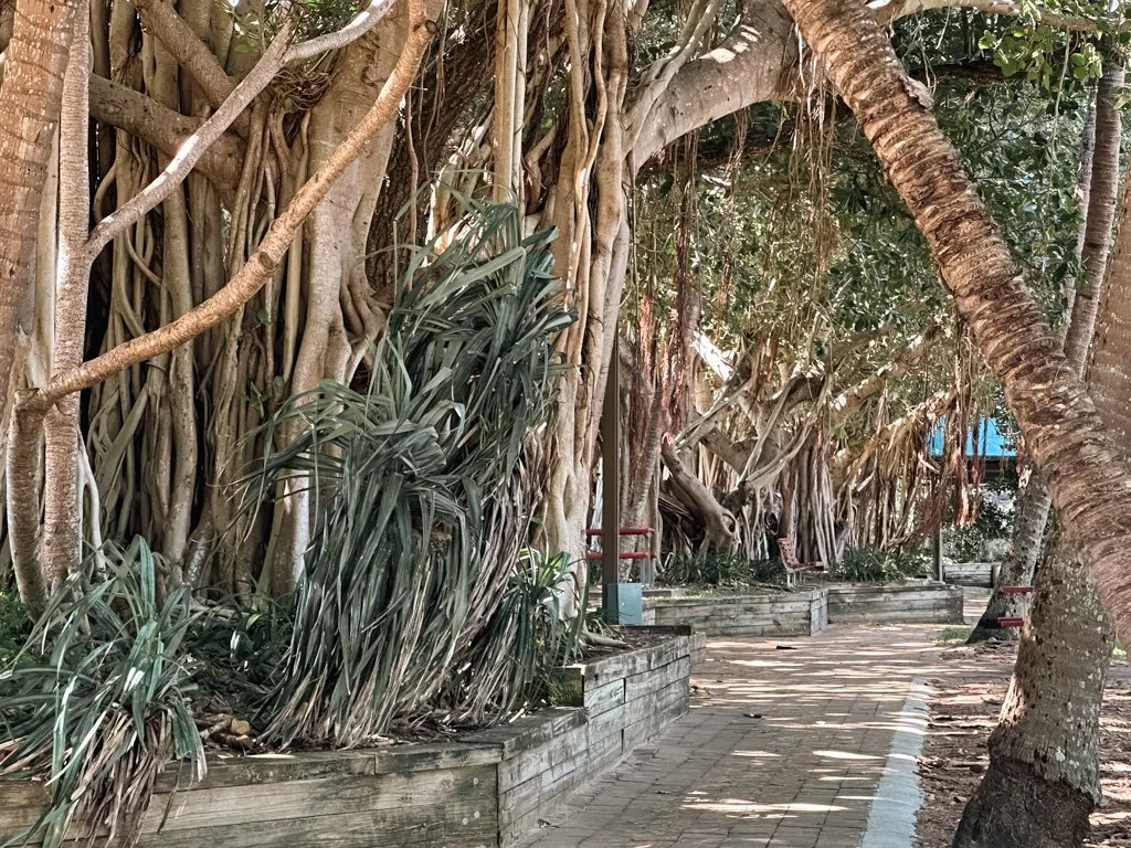 Information Booklet for Magnetic Island