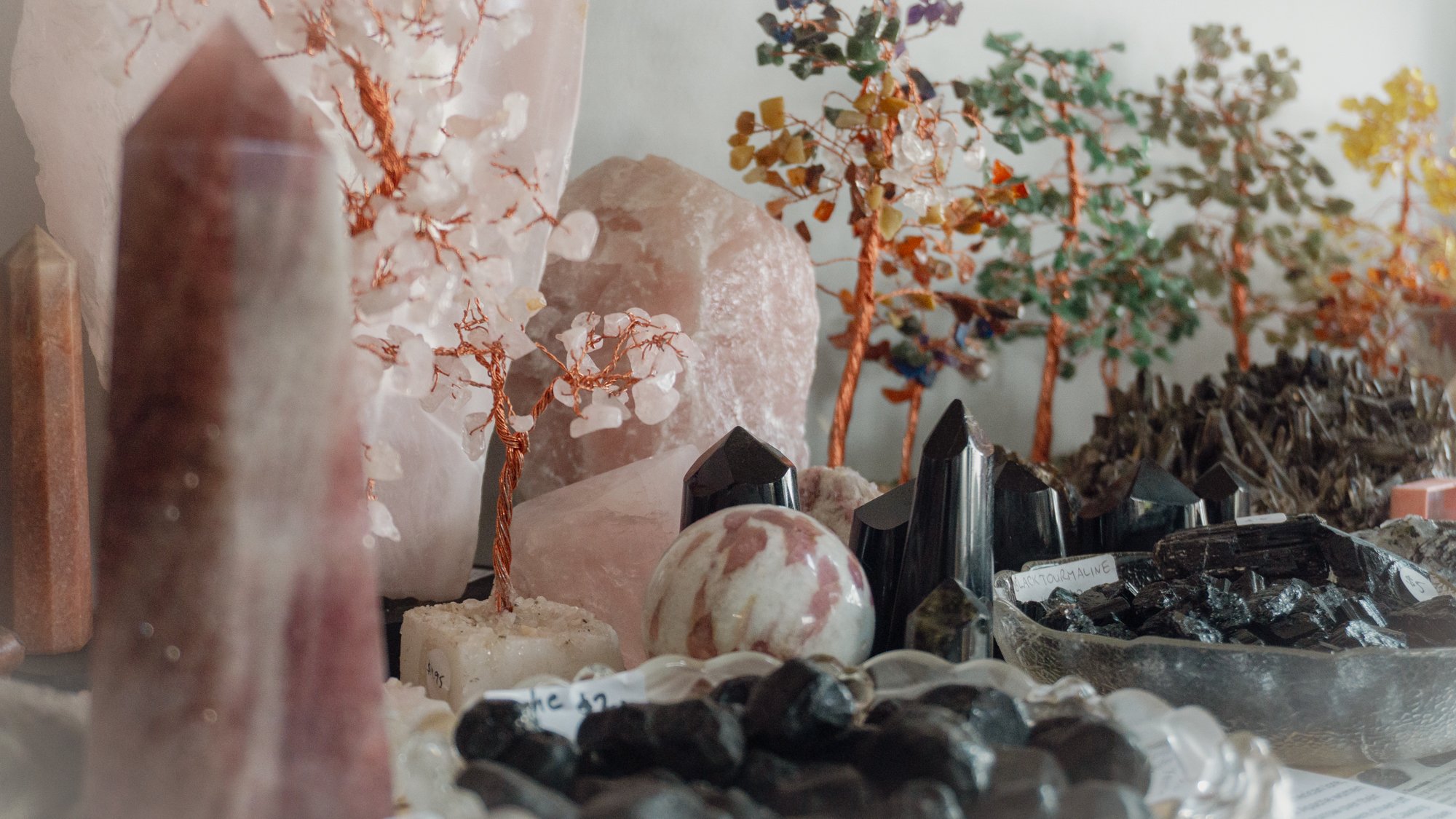 Website Photos for Wildkraft Apothecary, Bruthen