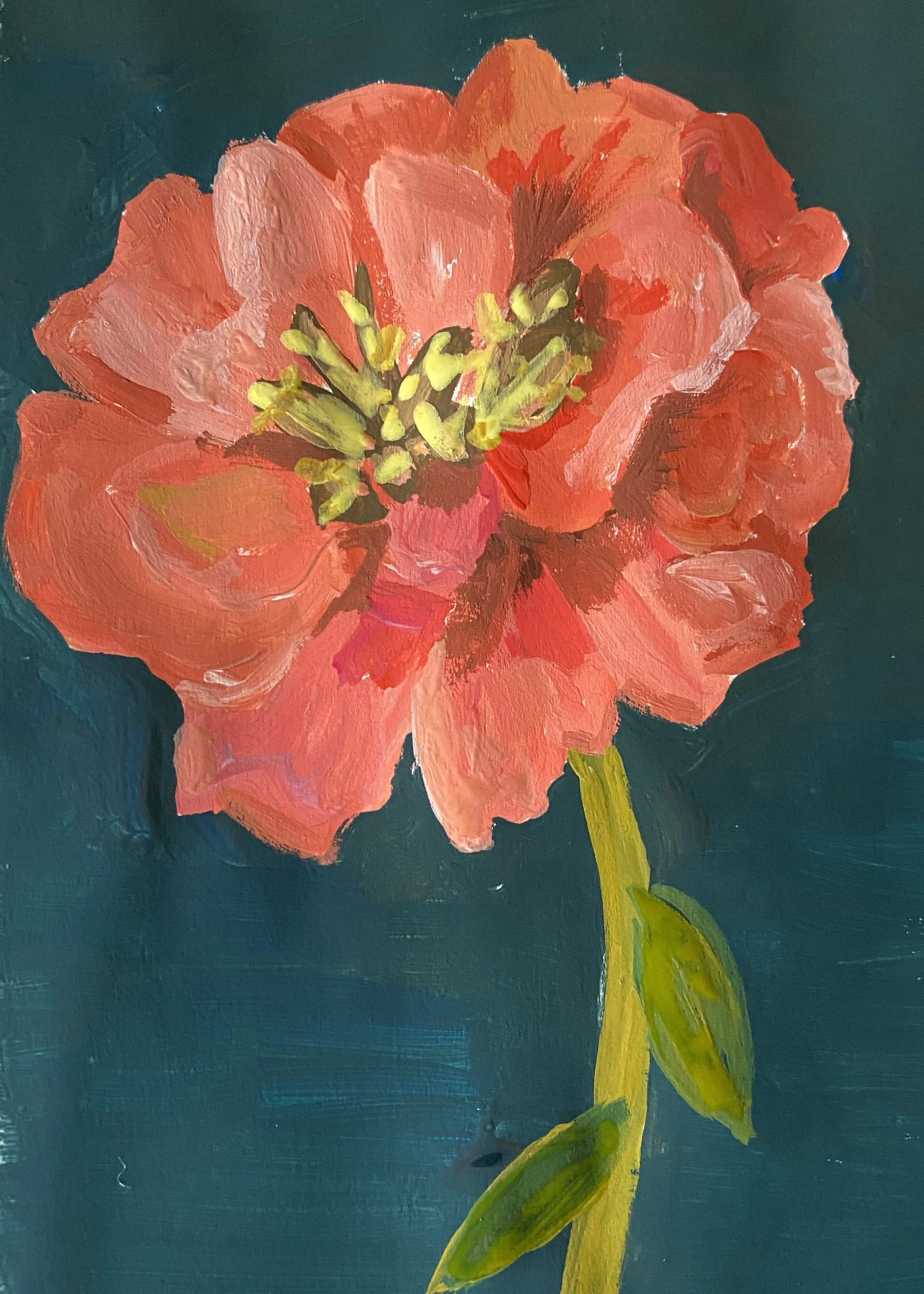 4"x5" blank notecard, $5 individually or $20 for a set of 5