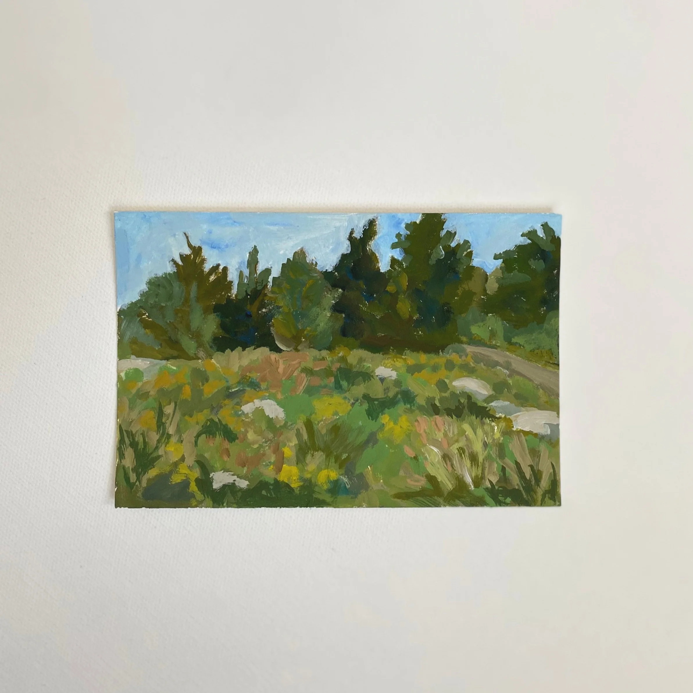 Maine #4, 4"x6", acrylic on paper