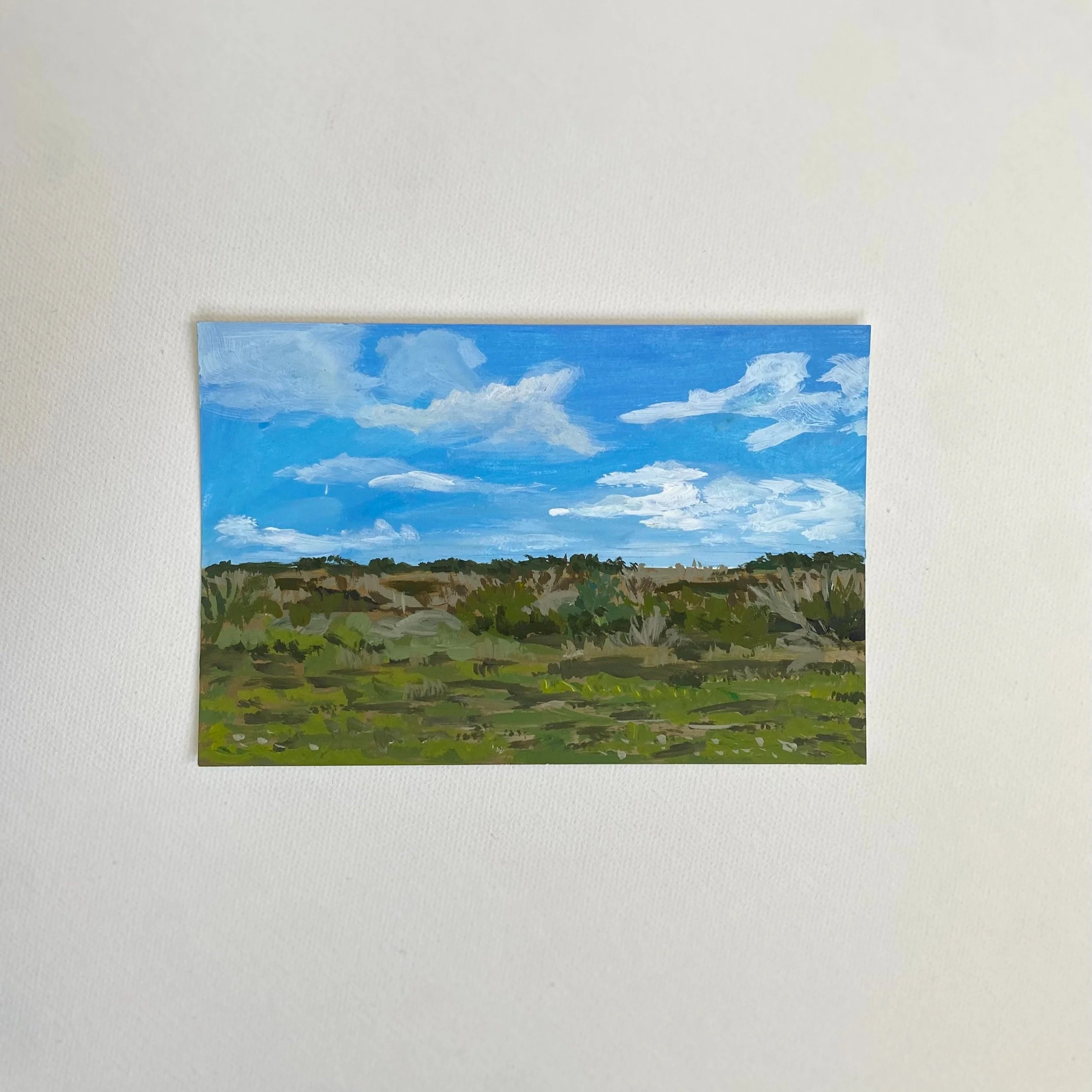 Florida #1, 4"x6",  acrylic on paper