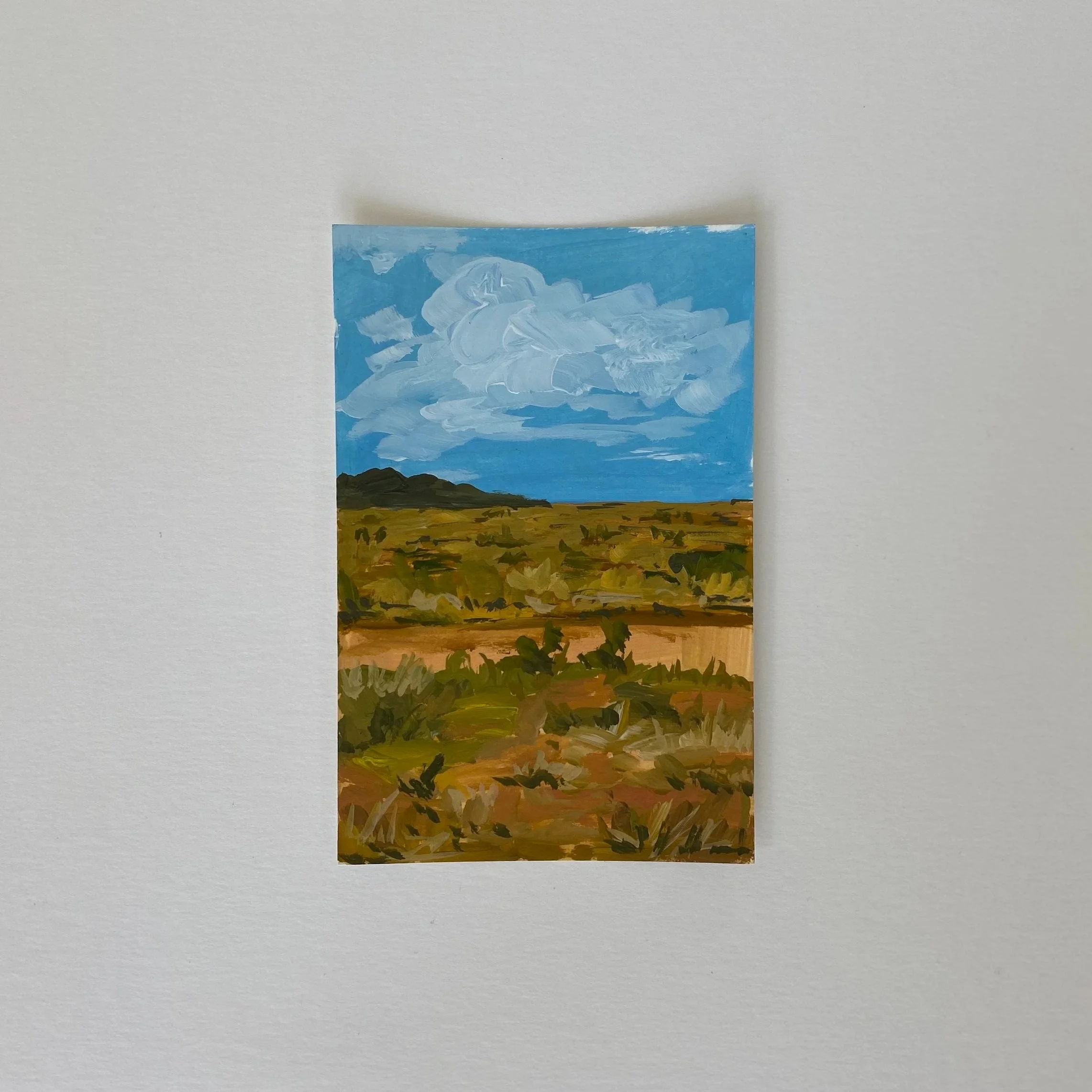 Nevada #2, 4" x 6", acrylic on paper