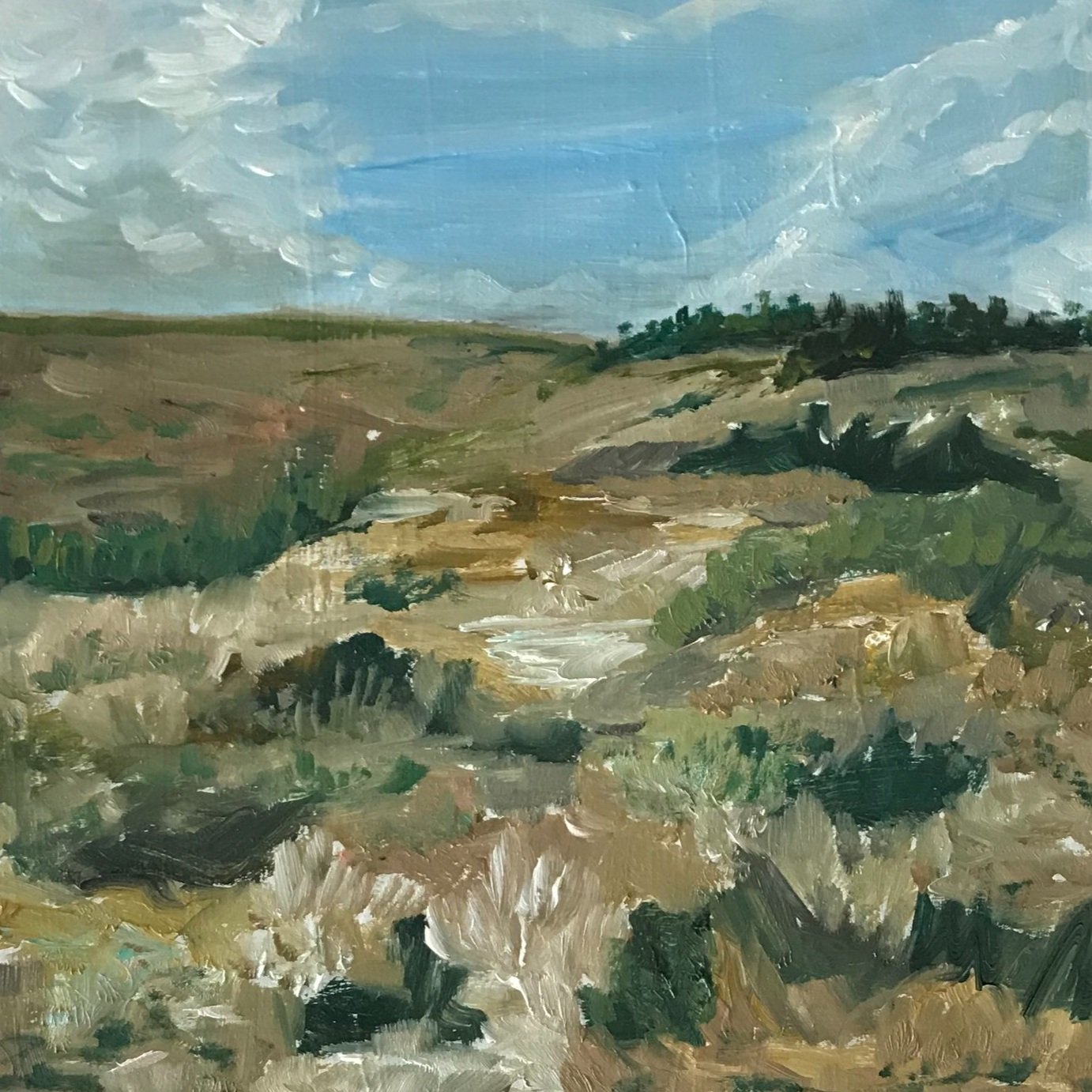 Nevada Brush #6605, 6"x 6", oil on wood, $250