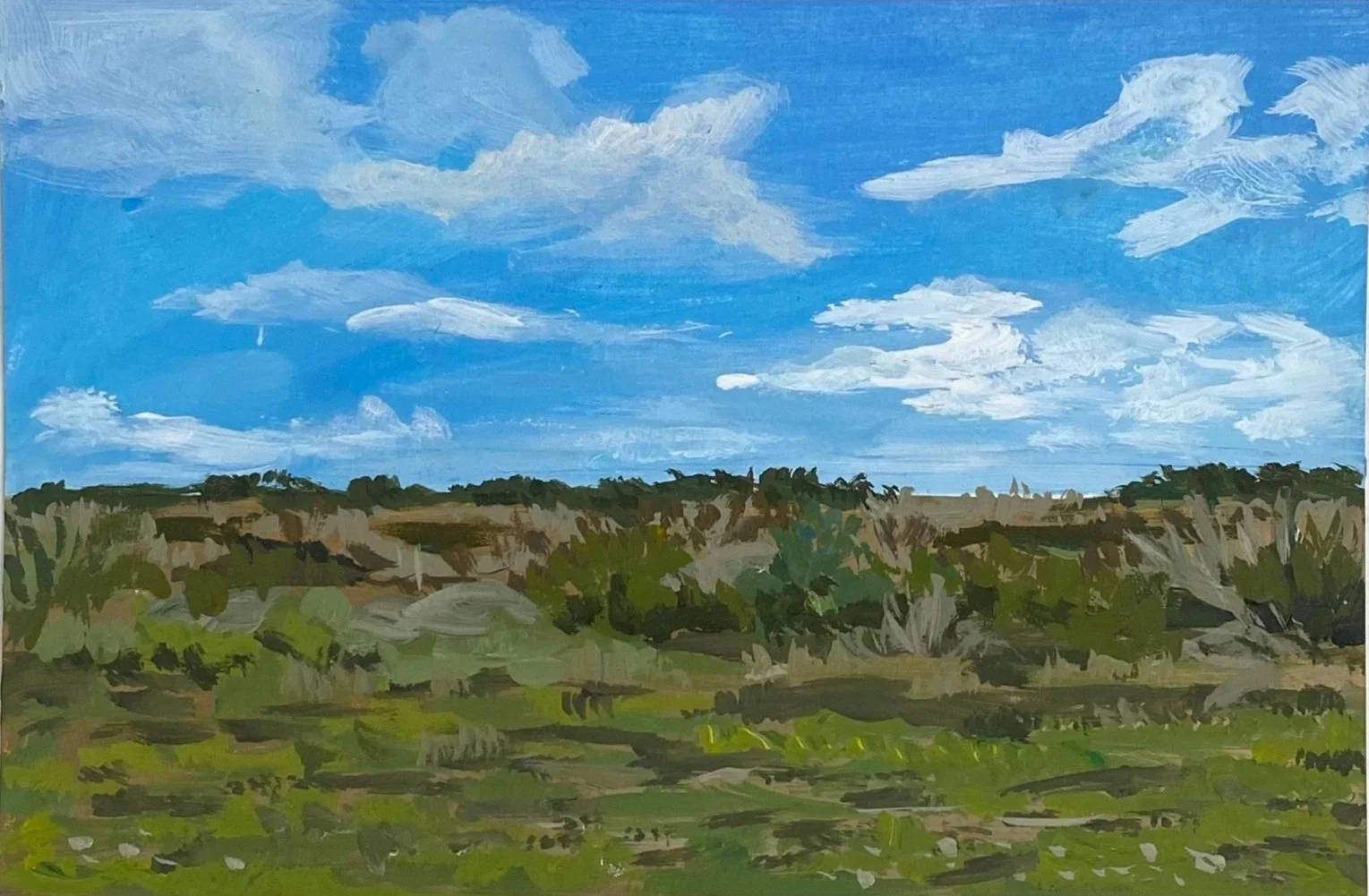 Florida #1, 4"x6",  acrylic on paper, $100