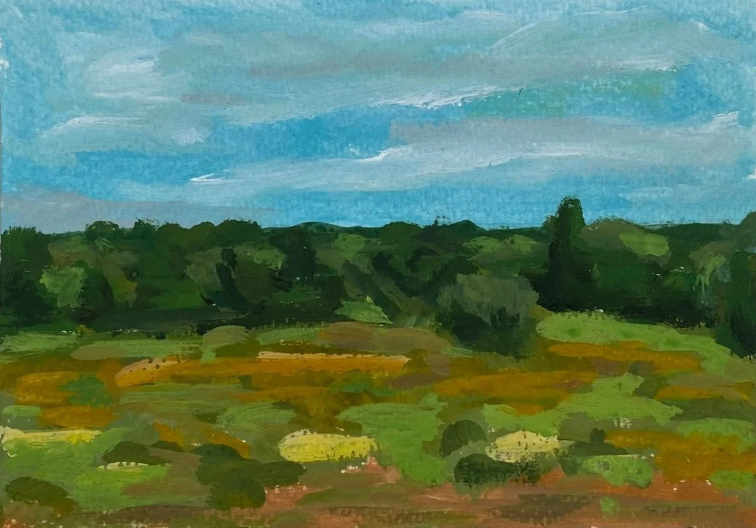 Maine #6, 4"x6", acrylic on paper, $100