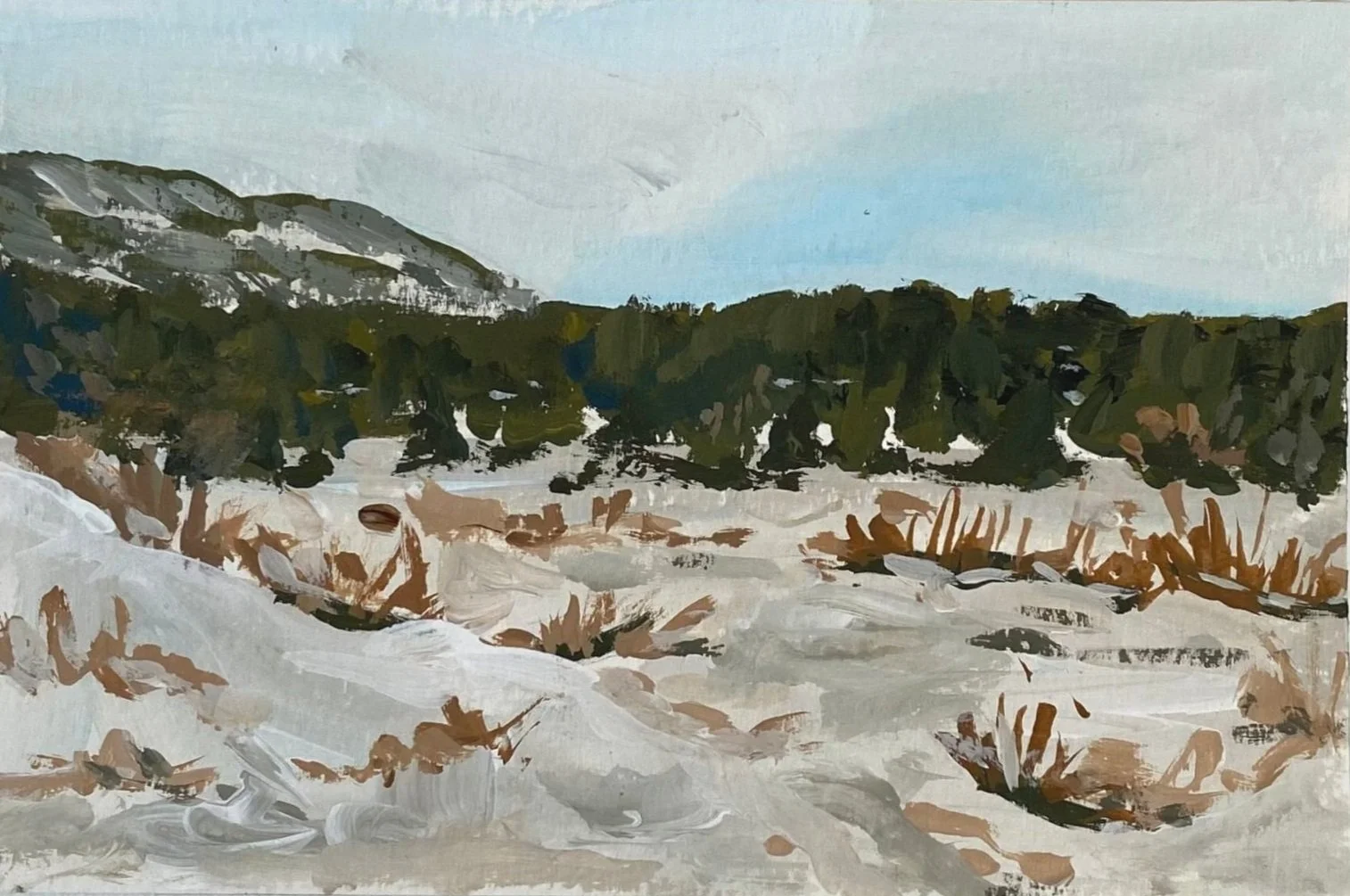 Colorado #5, 4"x6", acrylic on paper, $100
