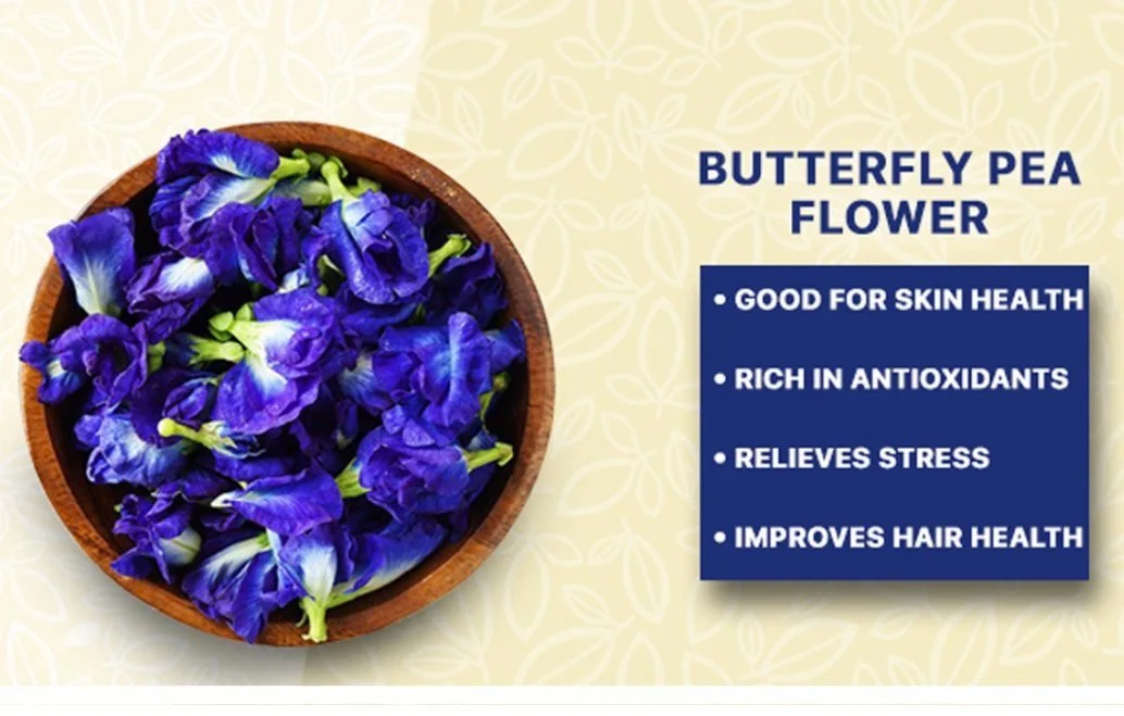 Relax and Recharge: A Guide to Herbal Teas