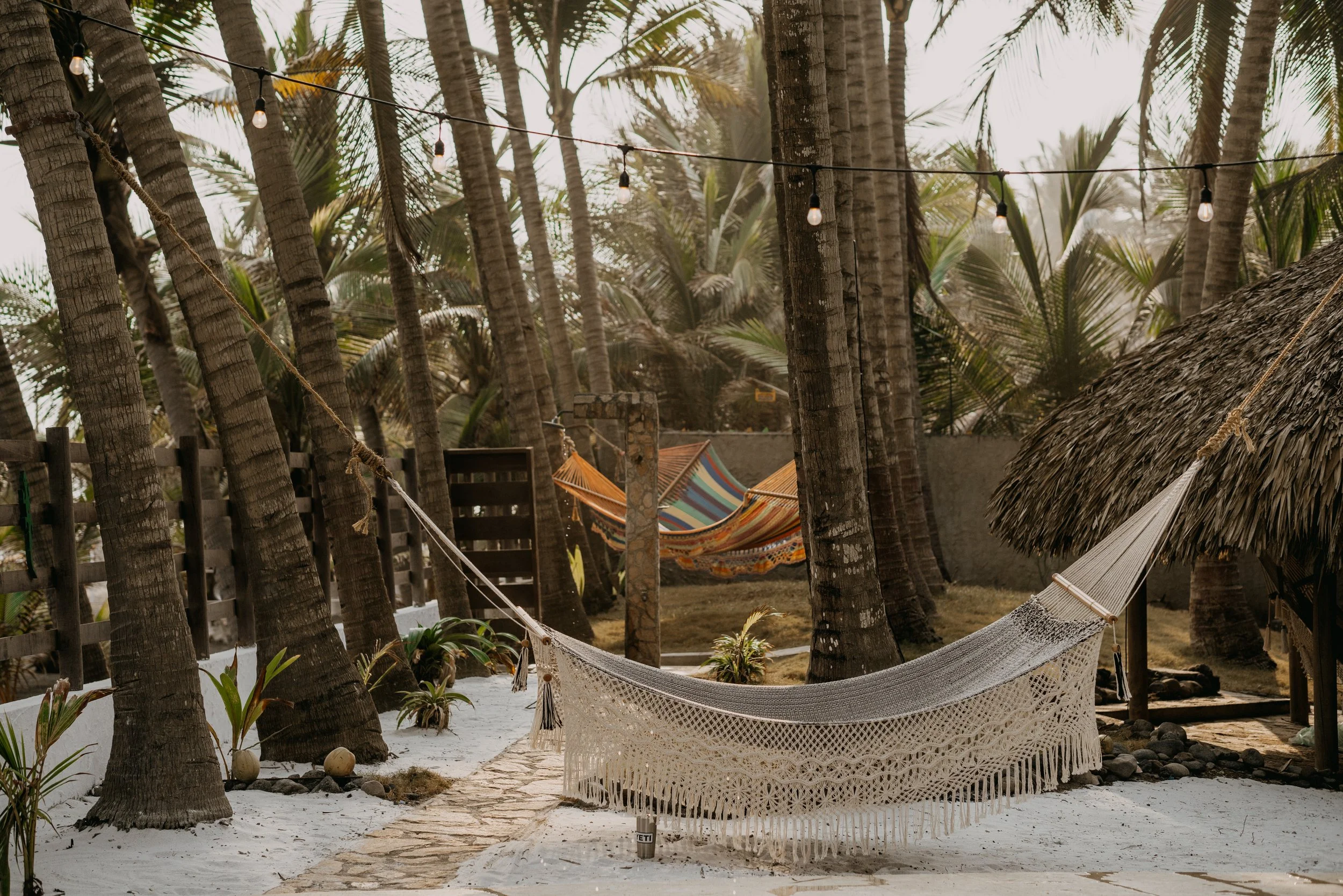 Pacifica SS2022-3.jpg