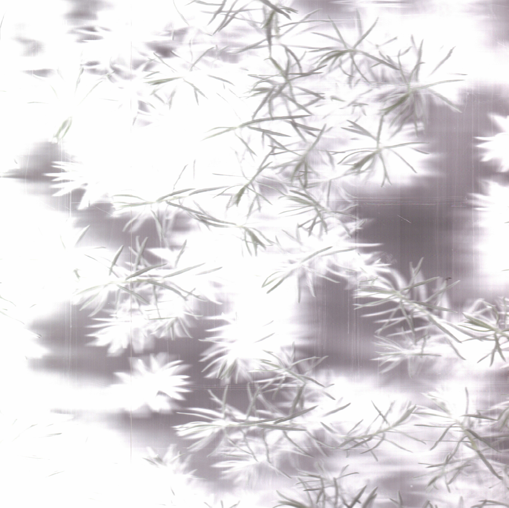 Screenshot 2026-05-25 003138.png