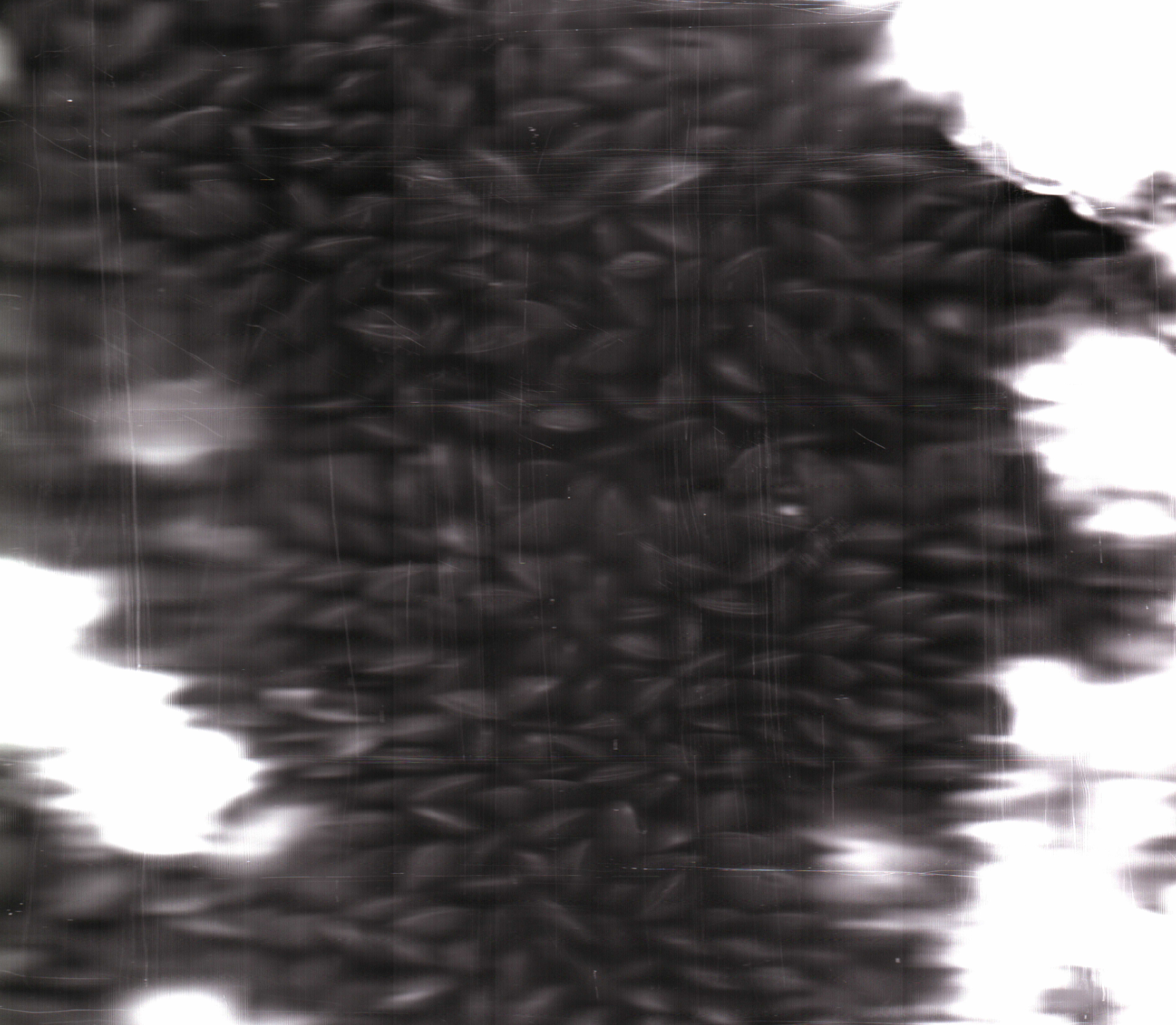 Screenshot 2026-05-25 003156.png