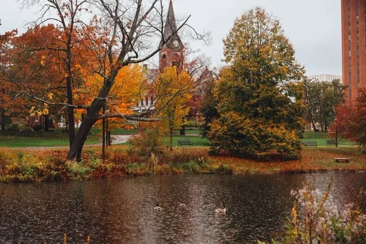 Beautiful UMass Amherst.jpeg