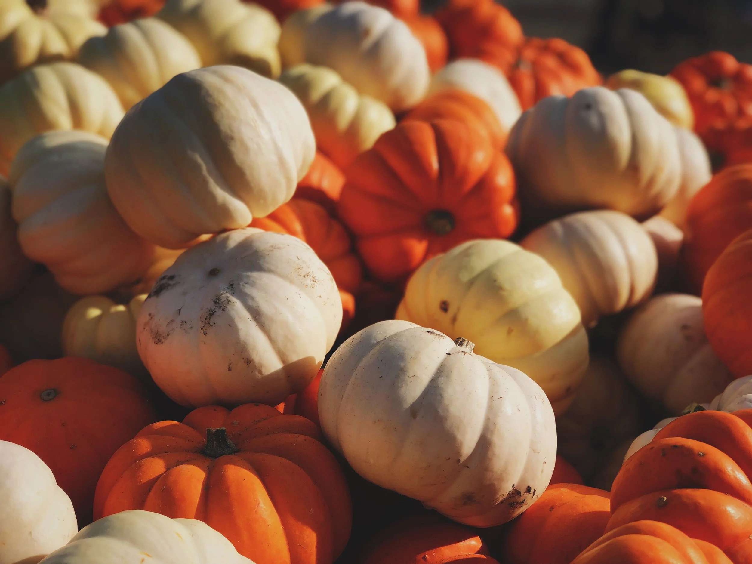 Autumn Music Horoscopes