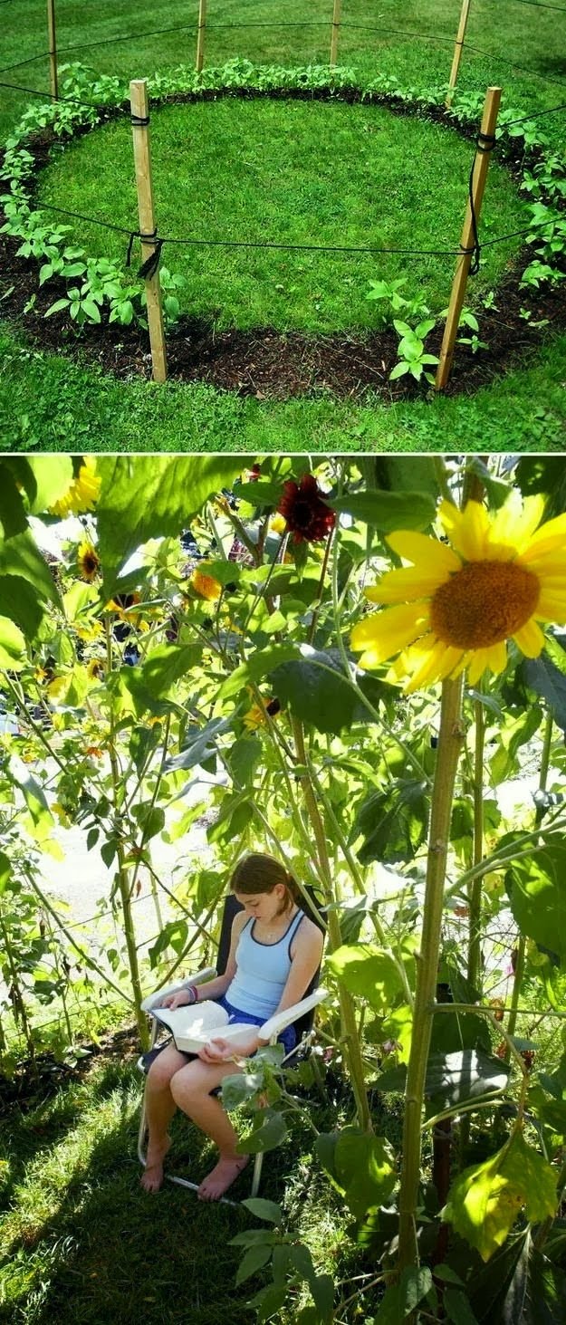 Grow+a+sunflower+house+for+the+kids+to+play+in.++31+Cheap+And+Easy+Backyard+Ideas+That+Are+Borderline+Genius.jpg