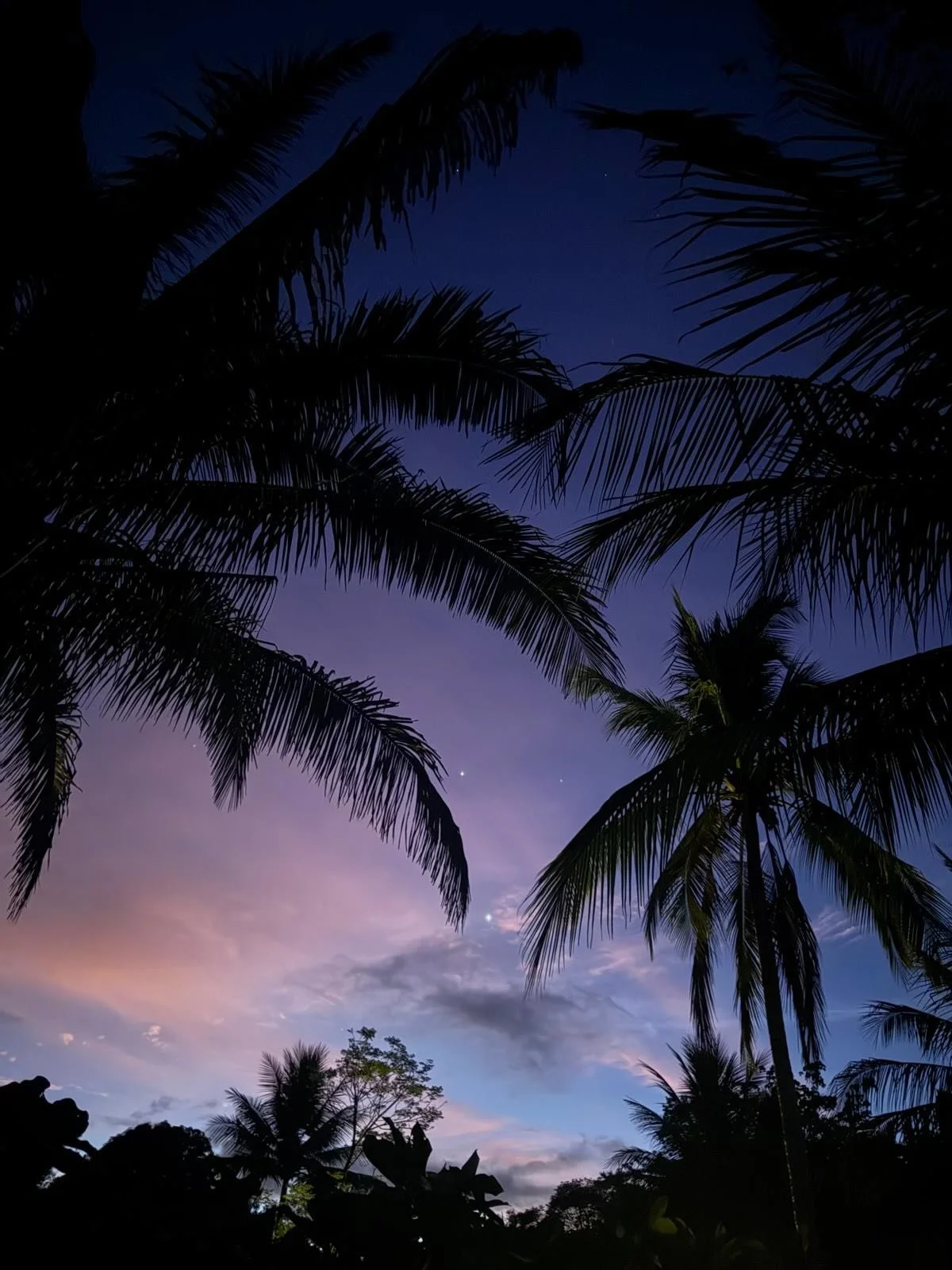 I really couldn&rsquo;t have dreamed up a better week.

Perfect waves. Even better sunsets. Howling at the moon. Scarlet macaws overhead. The smell of ylang ylang in the air. So much incredible food.

And maybe my favorite part: spending the week wit