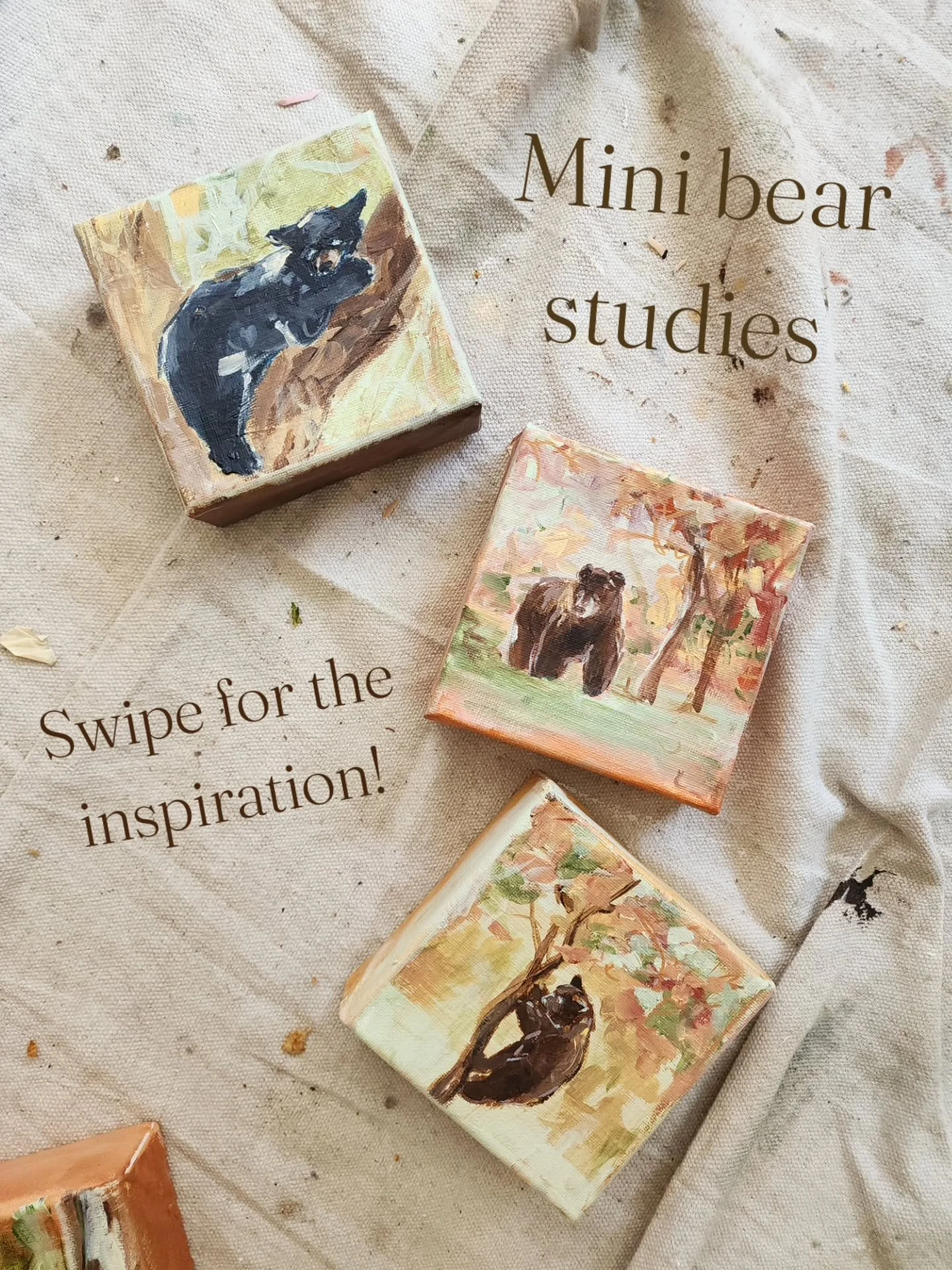I've had a lot of fun watching and capturing these little moments. 

These 4"x 4" studies will be available at the Nelson Harvest Market this Sunday, Sept 20th. Pop down and take a peek and say hi if you're in Nelson, looks like its going t