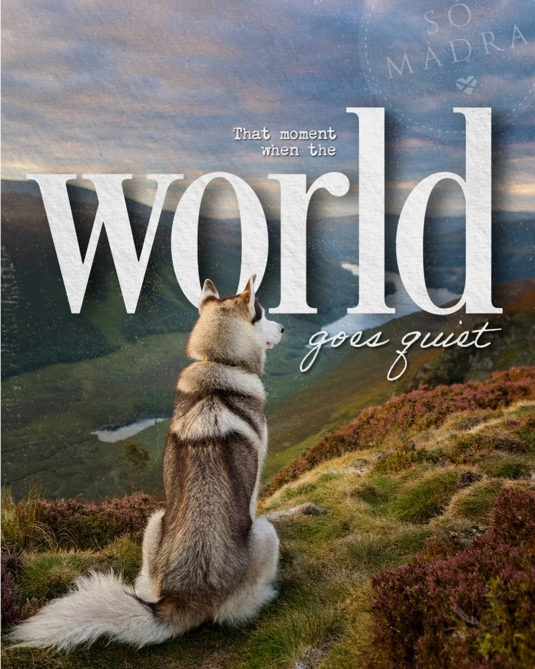 🌍 That magical moment when the world falls silent…
No distractions. No hurry. Just you, your dog, and a view that invites you to breathe a little deeper.
Designed for tranquility and built for exploration, our leads are crafted to guide you