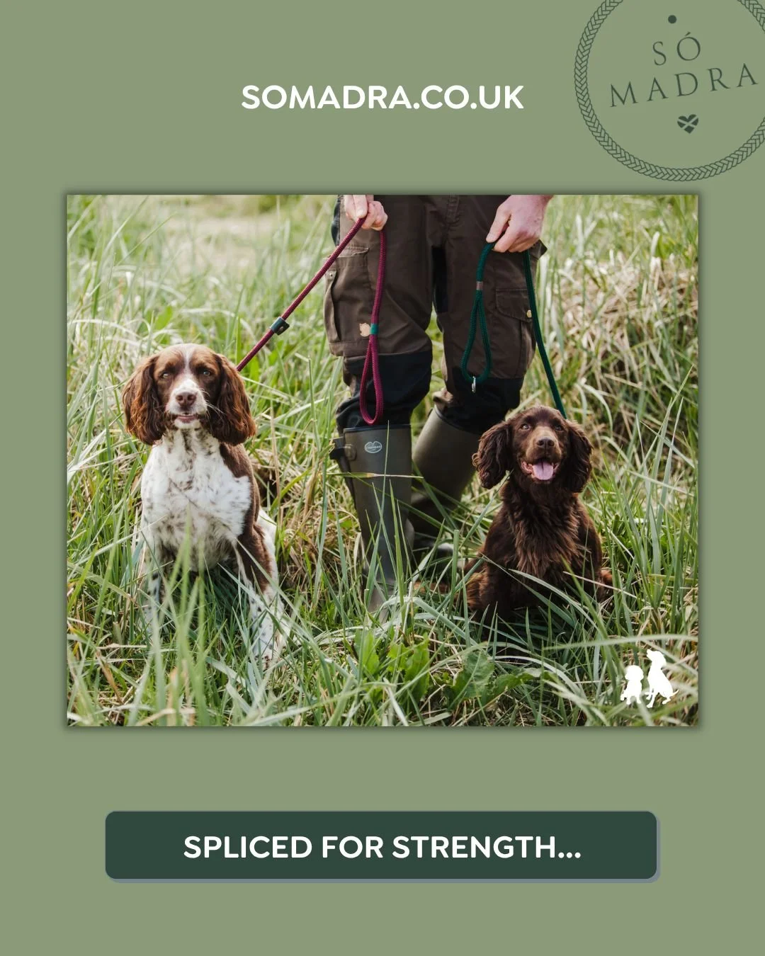Luxury dog apparel. Field tested by Spaniels! 🤎🤍🤎🐾