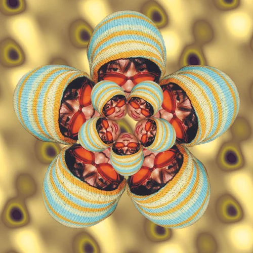 Yellow Flower copy.jpg