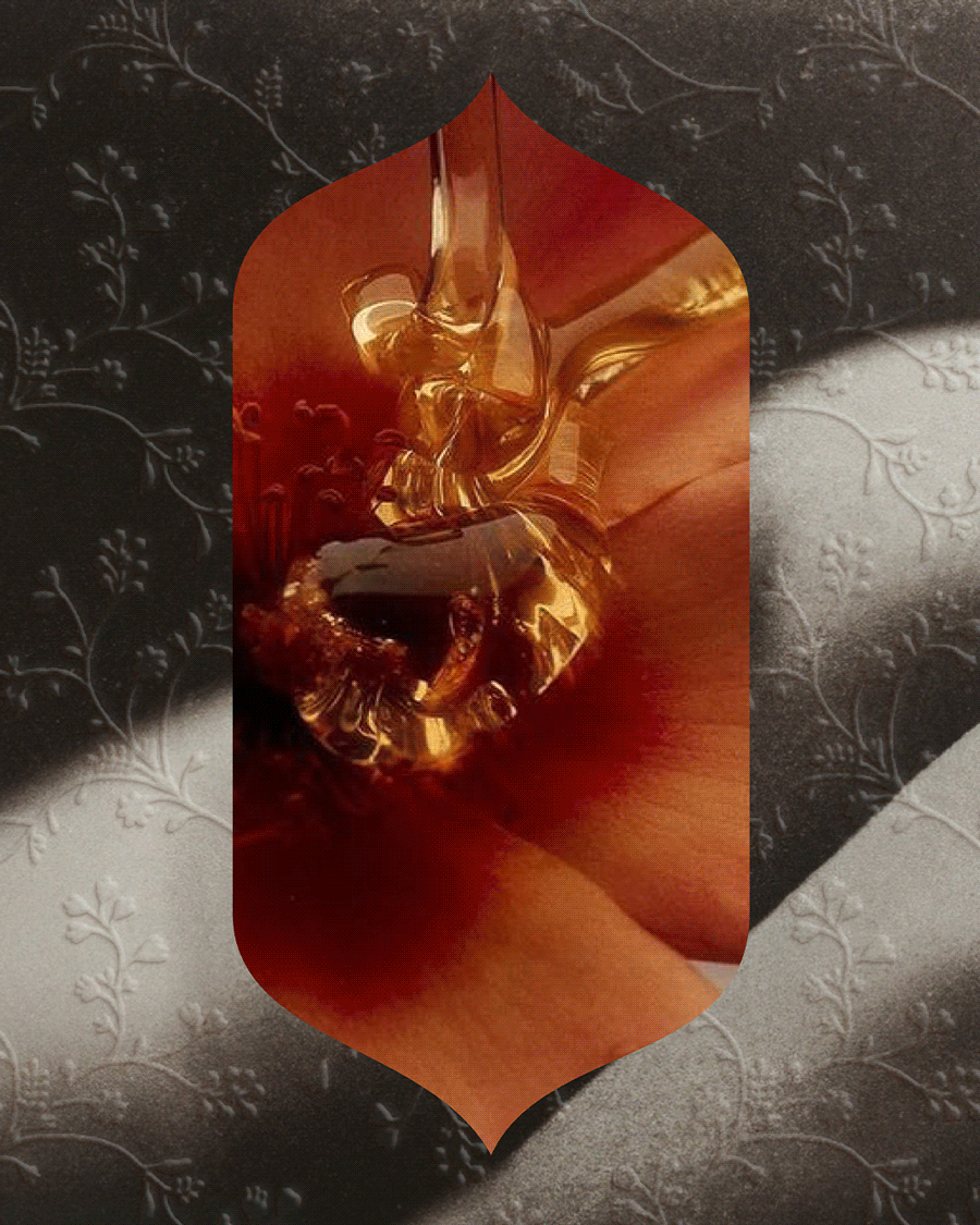 8.gif