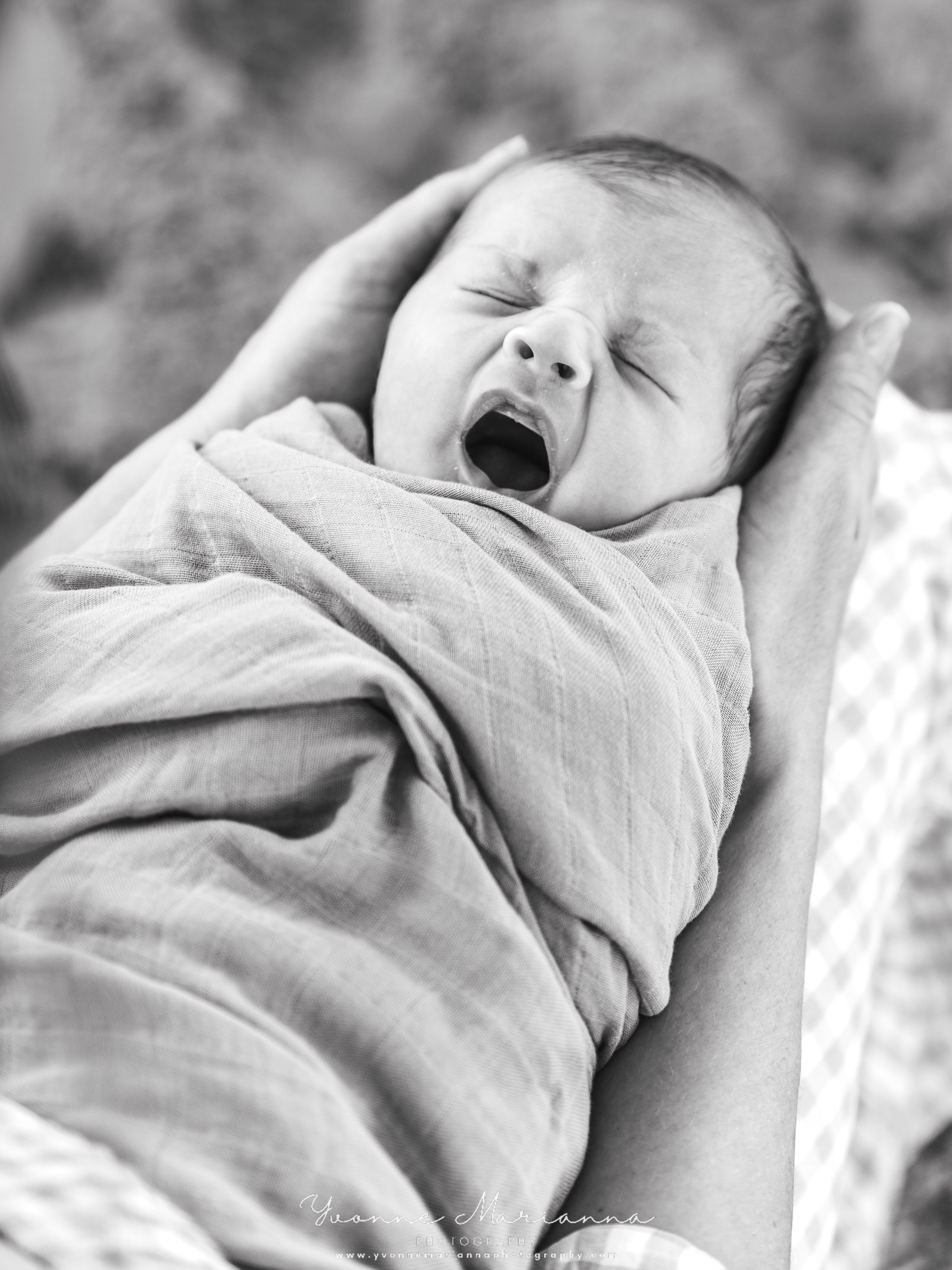 Broome Newborn Photography  - Yvonne Marianna Photography - Erin-8.jpg