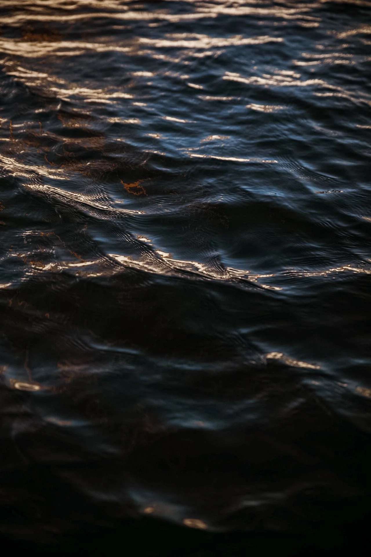 _MG_7021 2.JPG