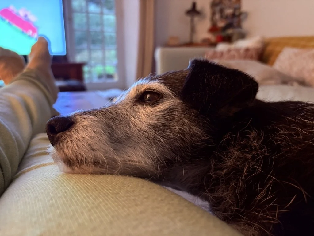 Happy birthday Badger