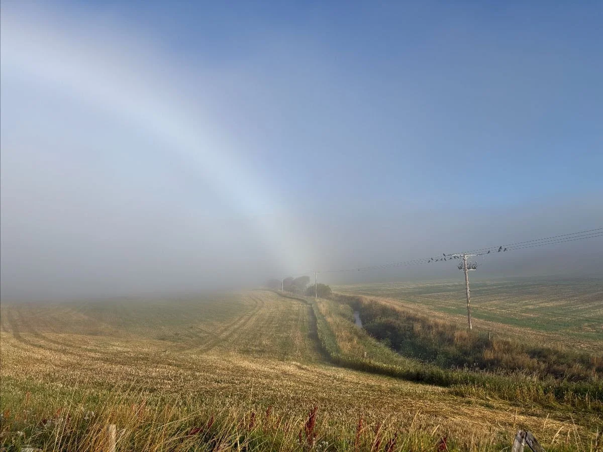 Season of mists and mellow fruitfulness