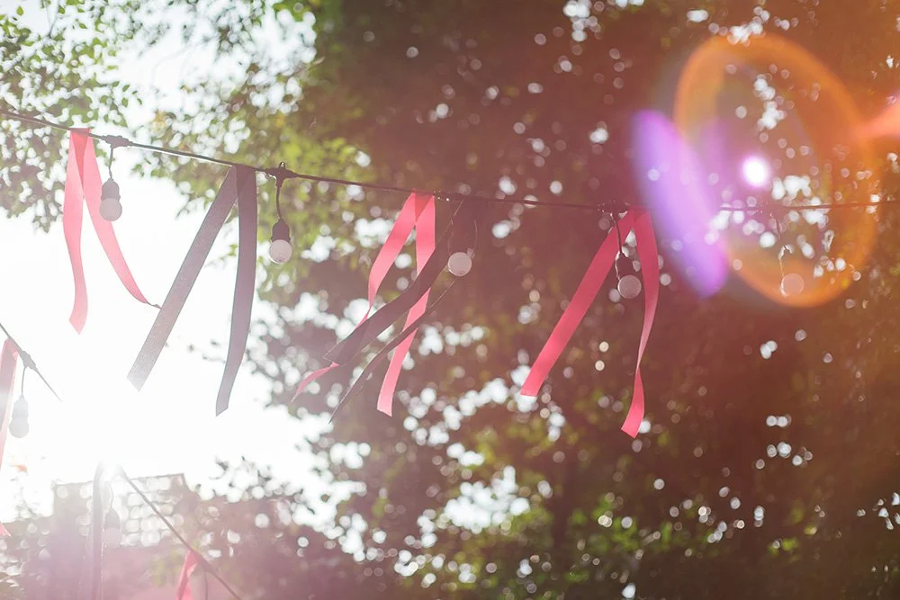 A sunlit photograph of trees against the sky with pink and black streamers in the foreground