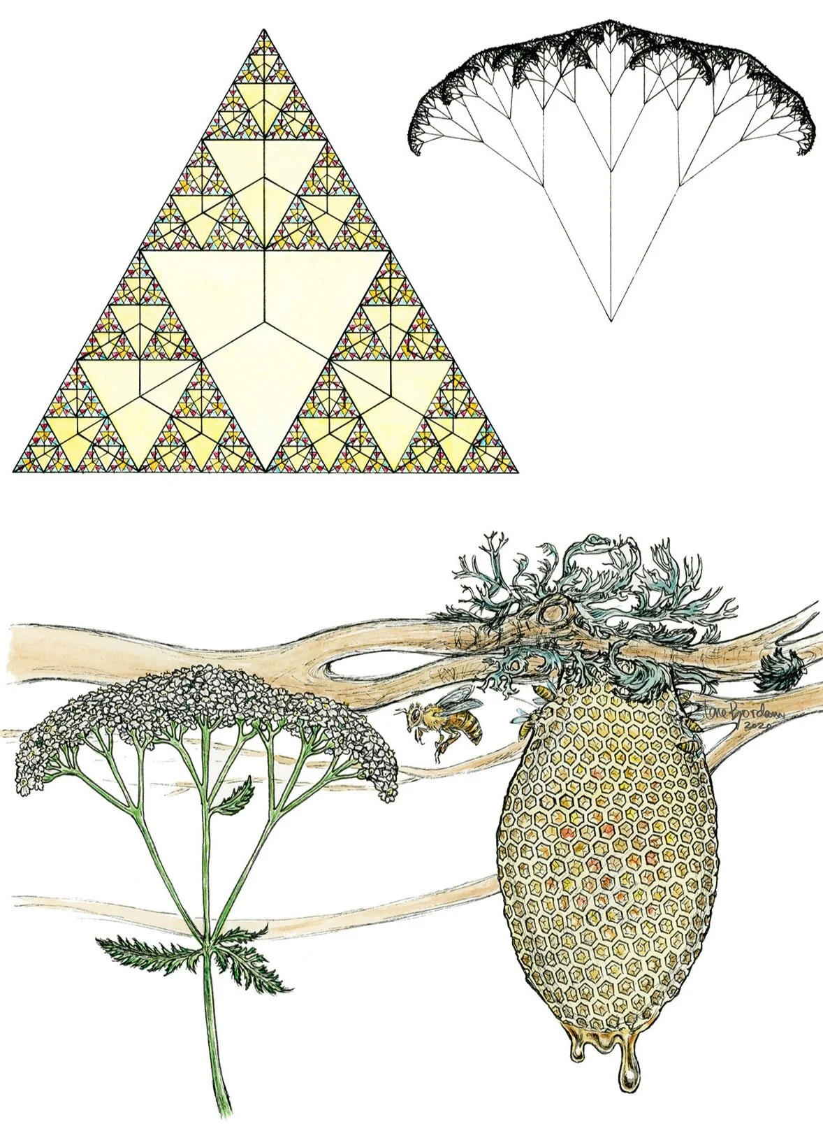 Webinar: Fractals Matter