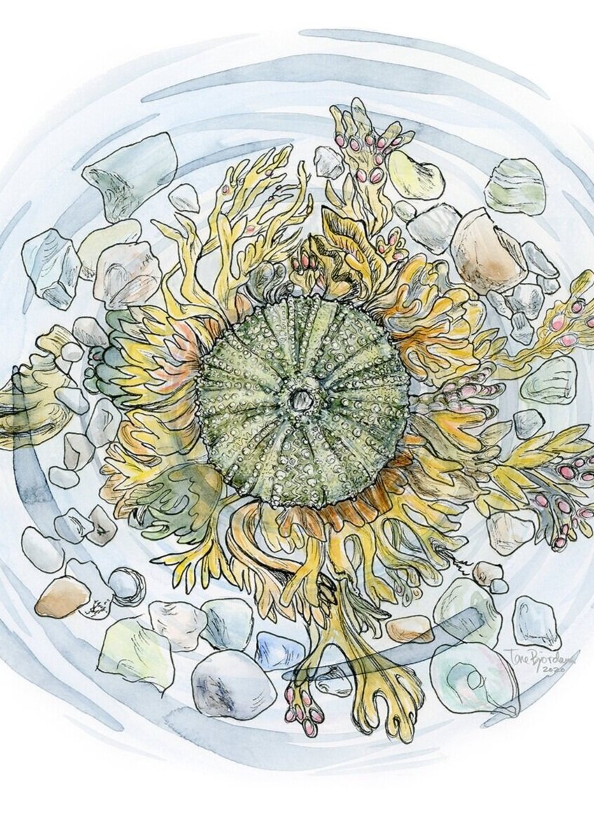 Webinar: Practice Matters