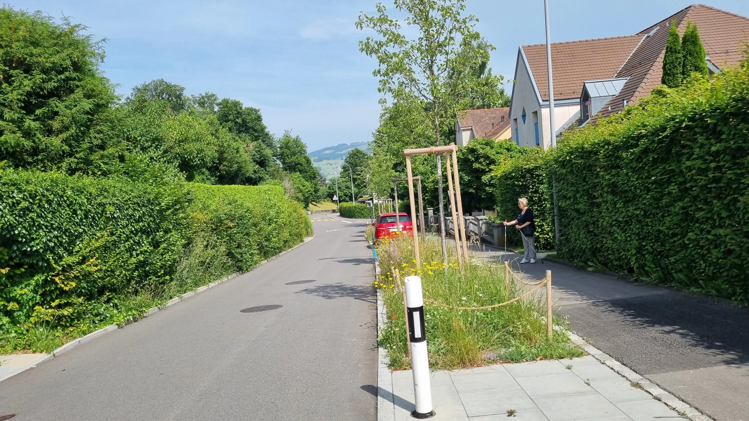 St.Gallens Strassenbild verändert sich